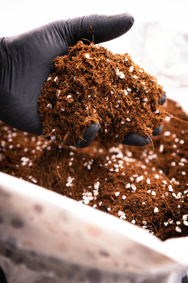 Hand grabbing Coco Coir from bag