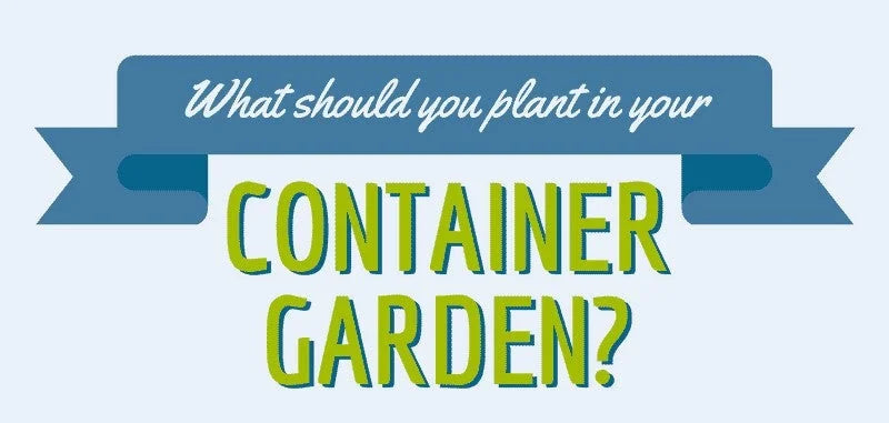 Container Gardening for Beginners