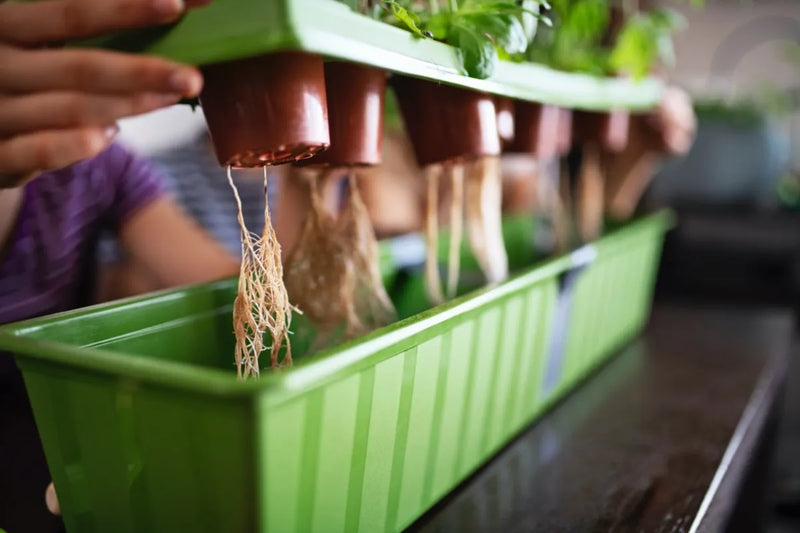 How to Set Up Drip Irrigation at Home