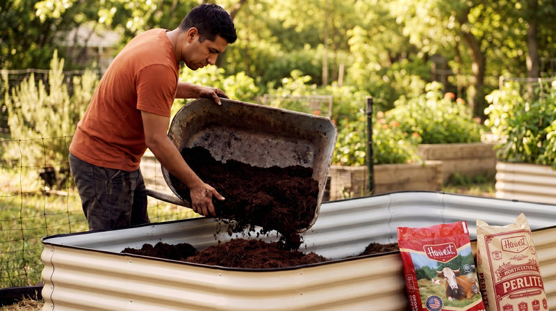 Fill with a draining mix