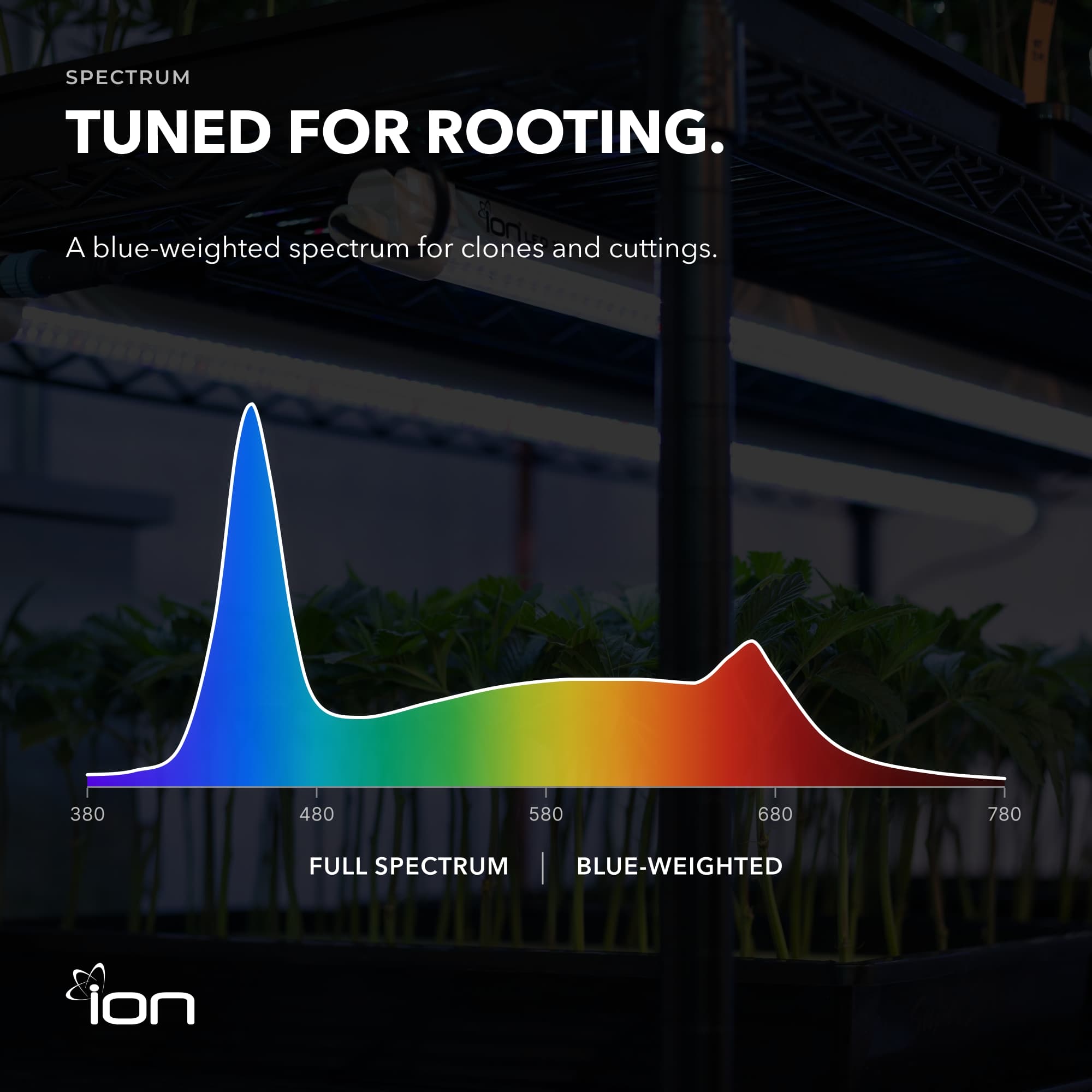 ION 36W LED Clone Light for Seed Starting & Cuttings, 2-Bar Design
