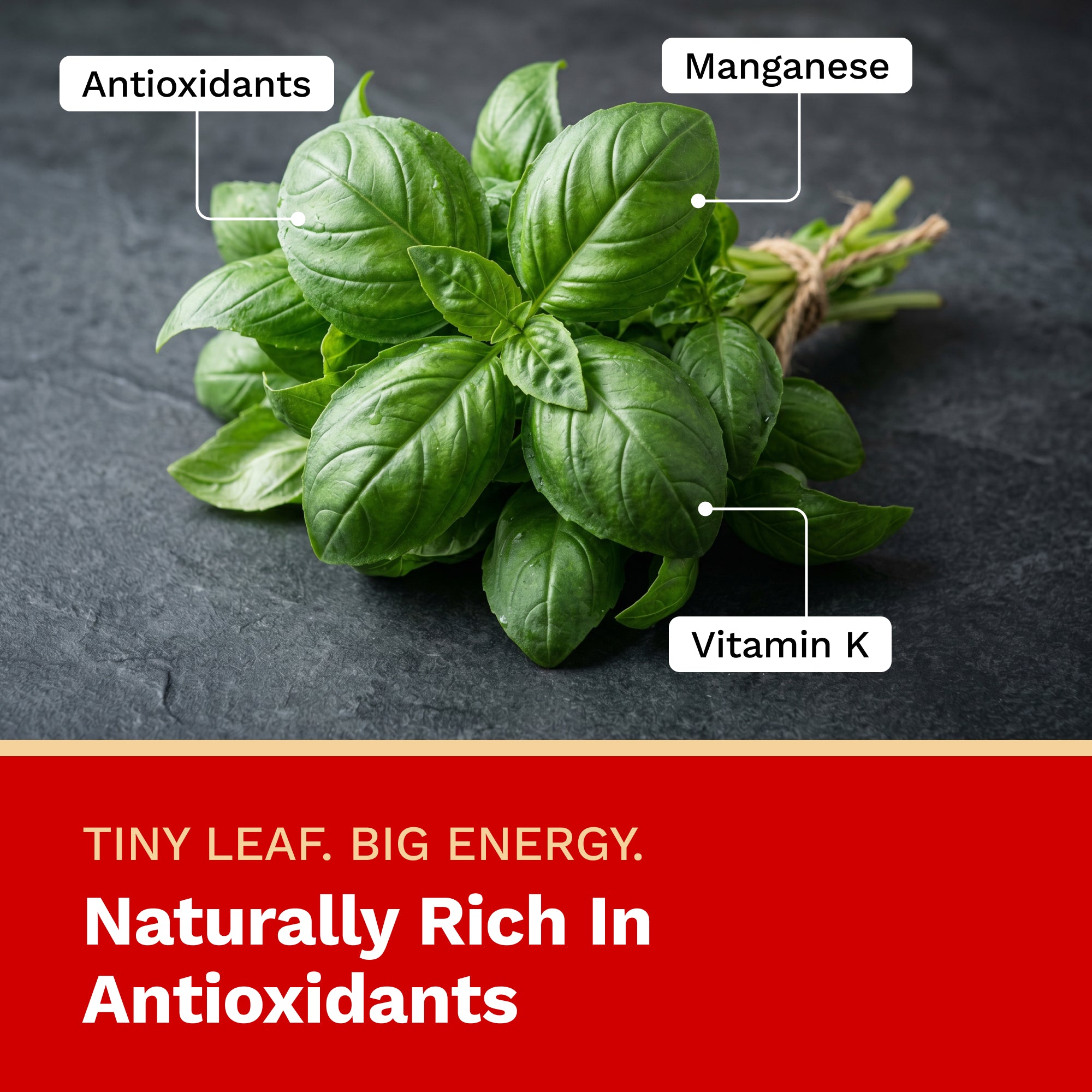 Basil leaves with nutritional information on a dark background