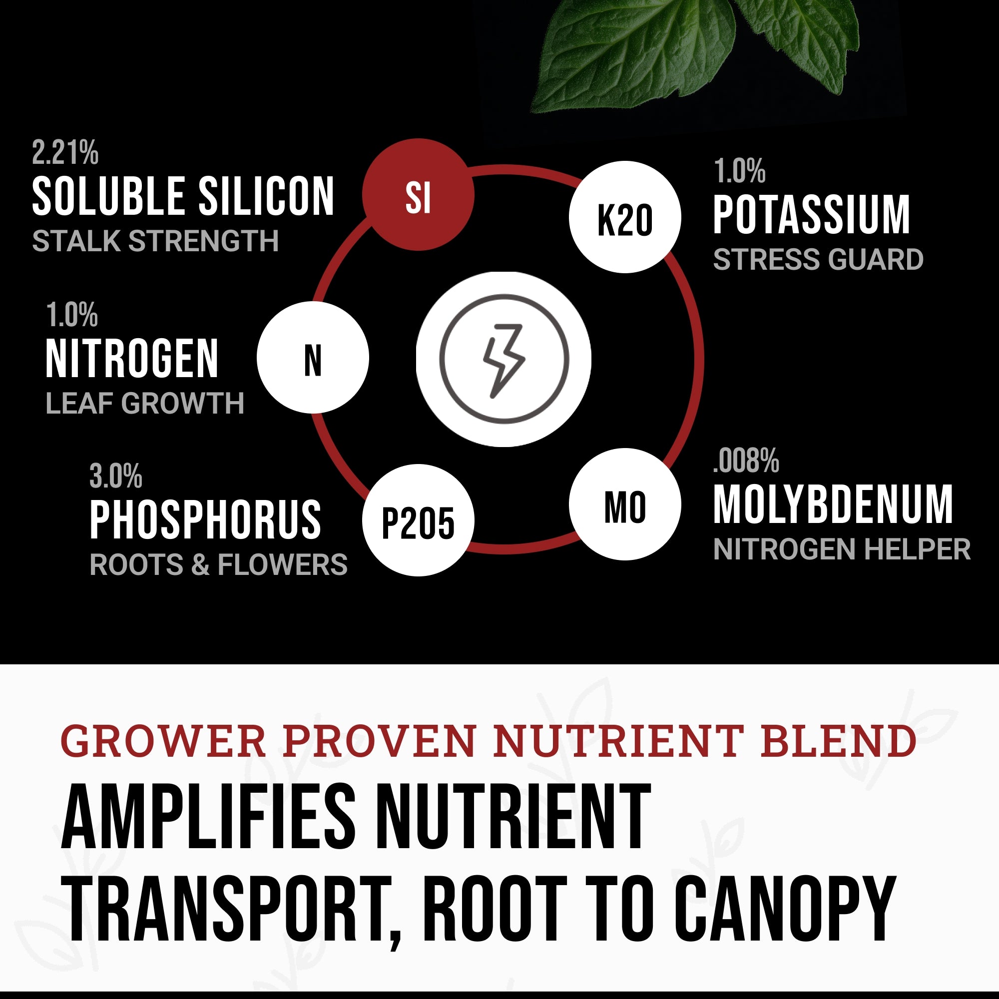 Power Si Original Liquid Plant Fertilizer with Silica Biomix 1-3-1