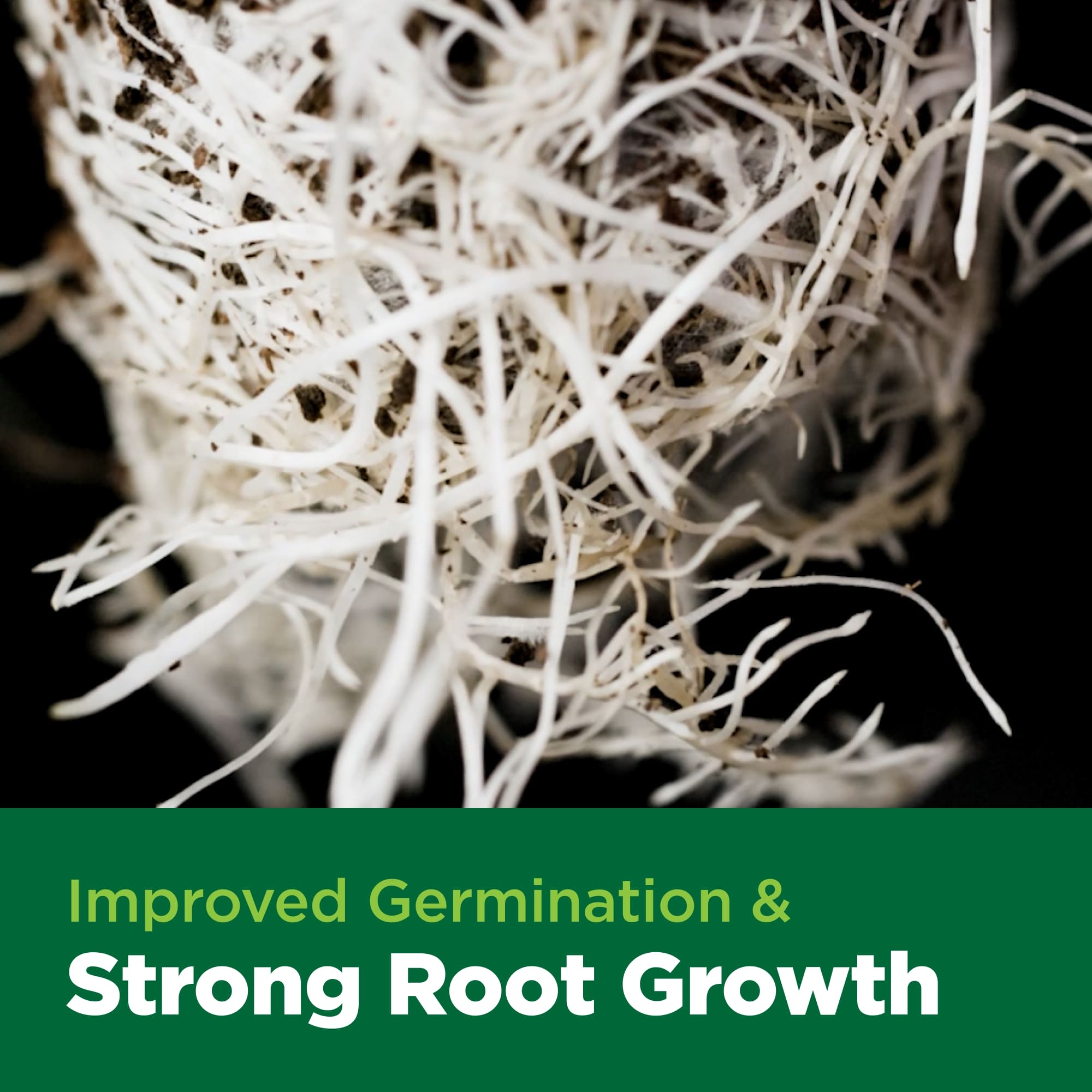 Close-up of white roots with text 'Improved Germination & Strong Root Growth' on a green banner.
