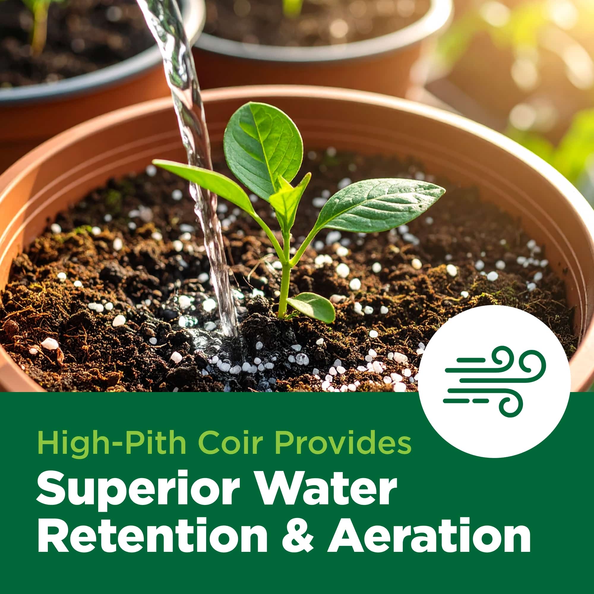Potted plant being watered with text about high-pith coir's benefits