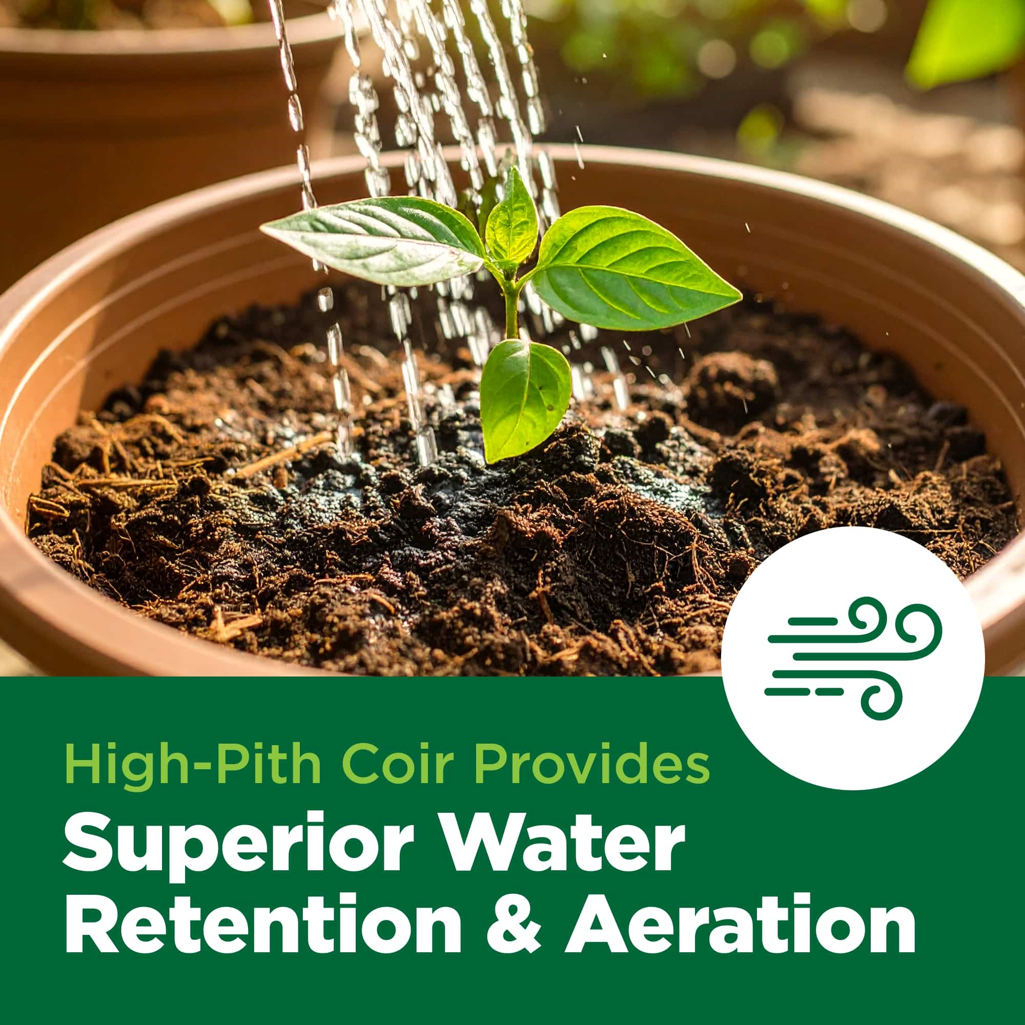 Potted plant being watered with text about high-pith coir and its benefits.