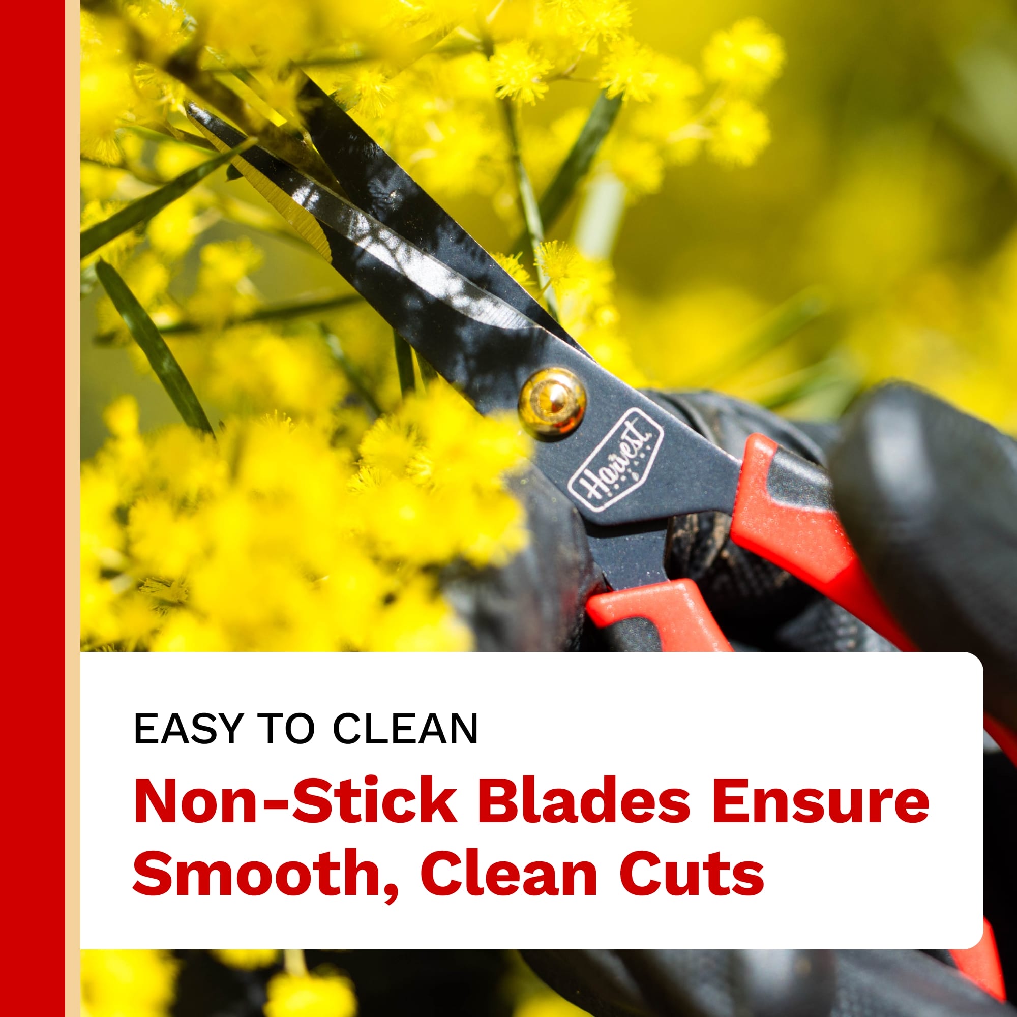 Scissors with non-stick blades cutting through yellow flowers, text indicating ease of cleaning.