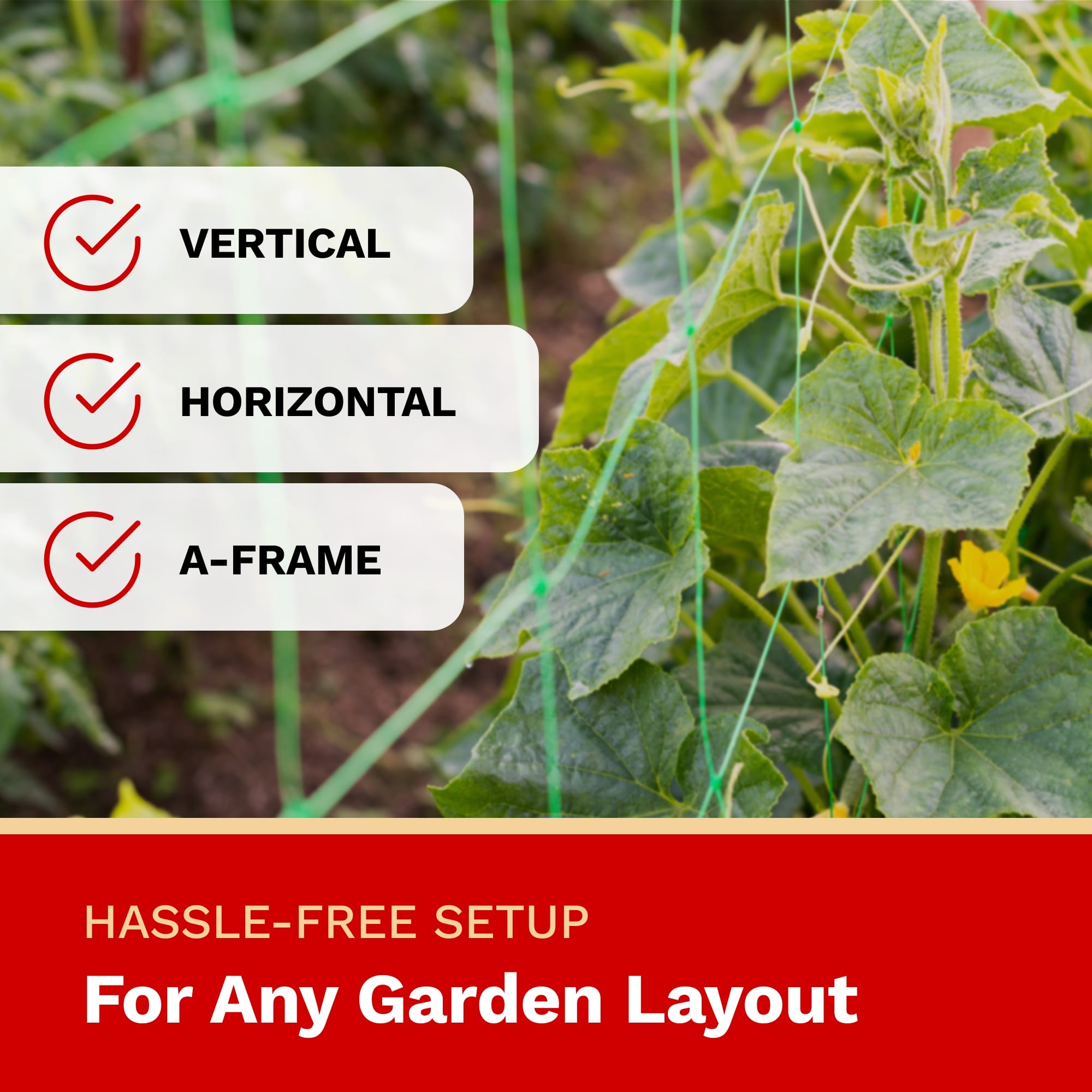 Garden plant with text indicating vertical, horizontal, and A-frame support options.