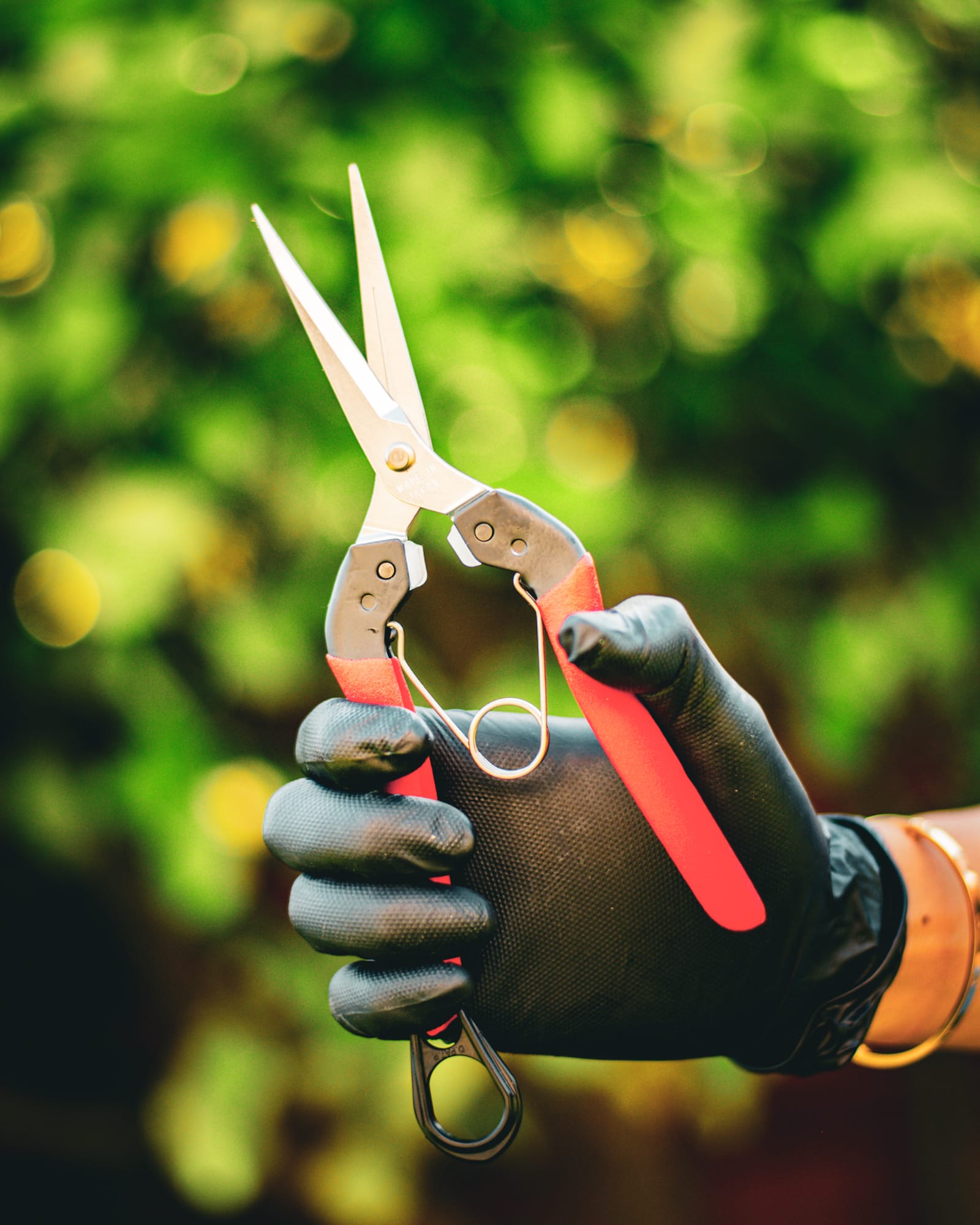 The Harvest Company 7.9 in. x 1.0 in. Japanese Carbon Steel Straight Blade Harvesting and Pruning Shear with Non-Slip Handles