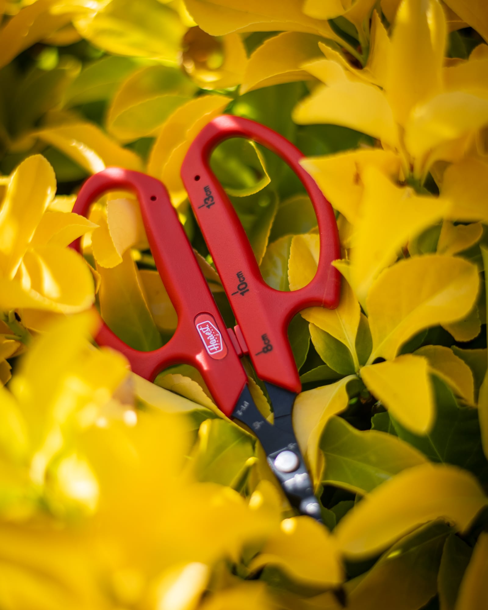 Red garden shears on a yellow floral background