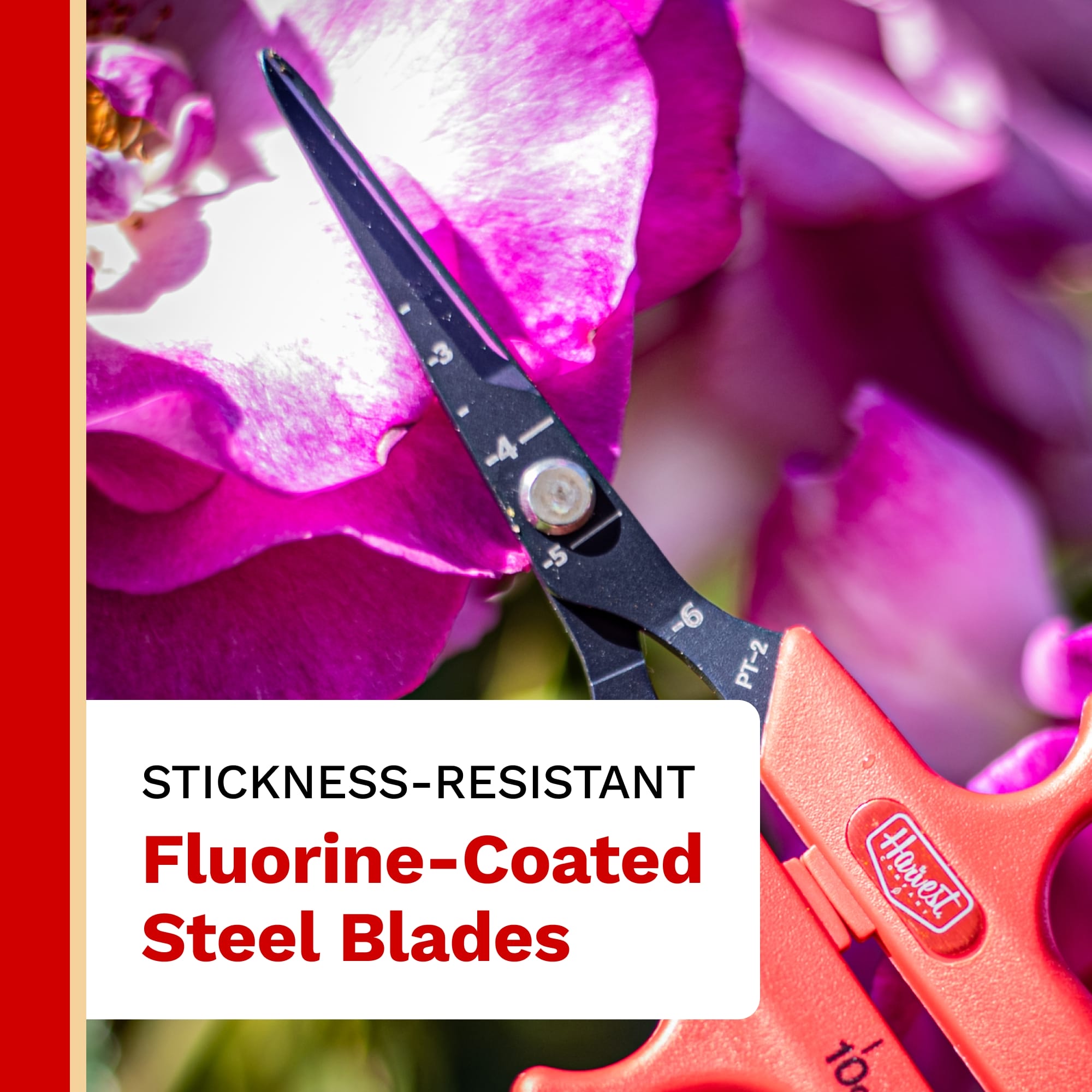 The Harvest Company 6.3 in. x 0.5 in. Fluorine-Coated Japanese Steel Straight Blade Bonsai Shear with Ergonomic Ambidextrous Handles