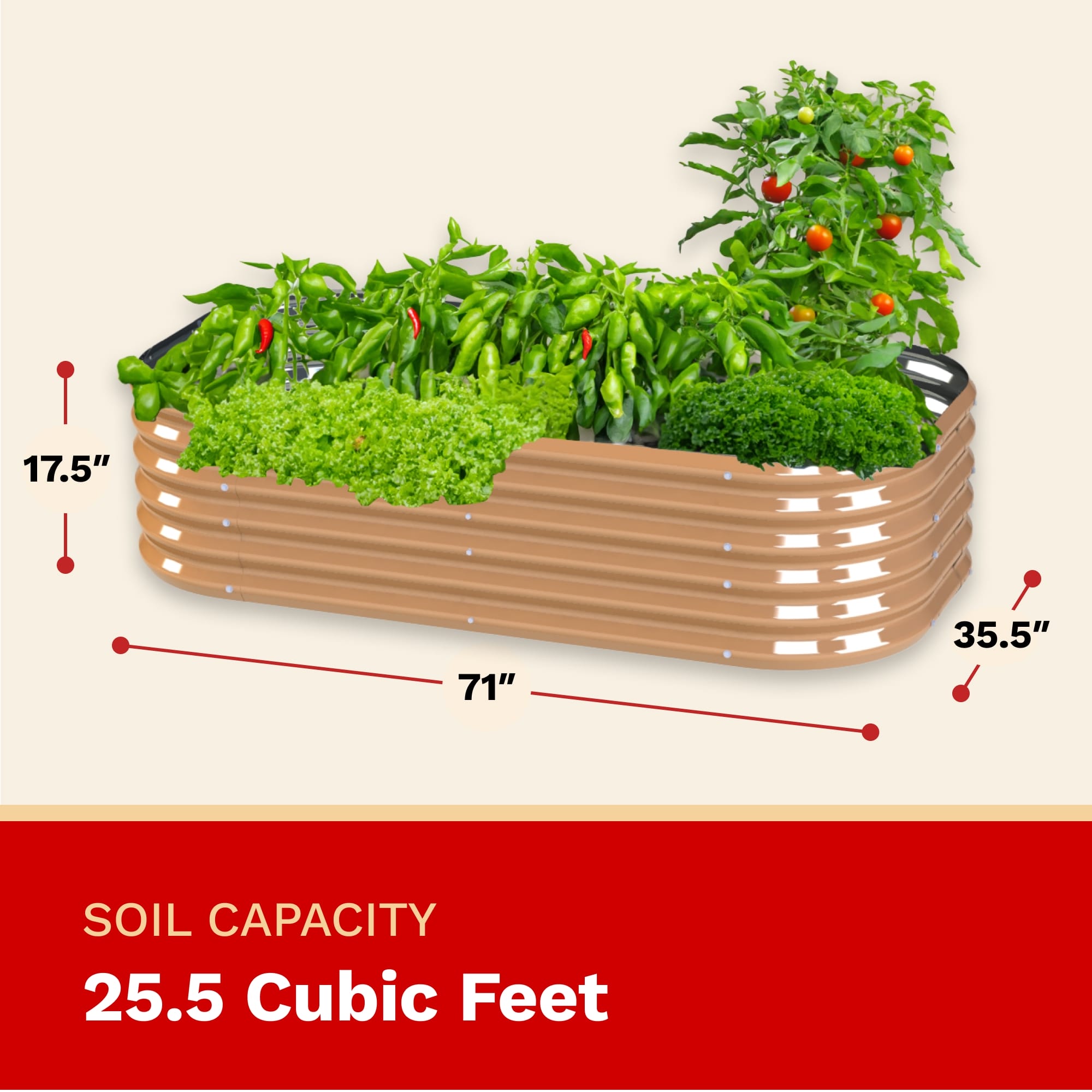 Wooden raised garden bed with plants and measurements on a beige background