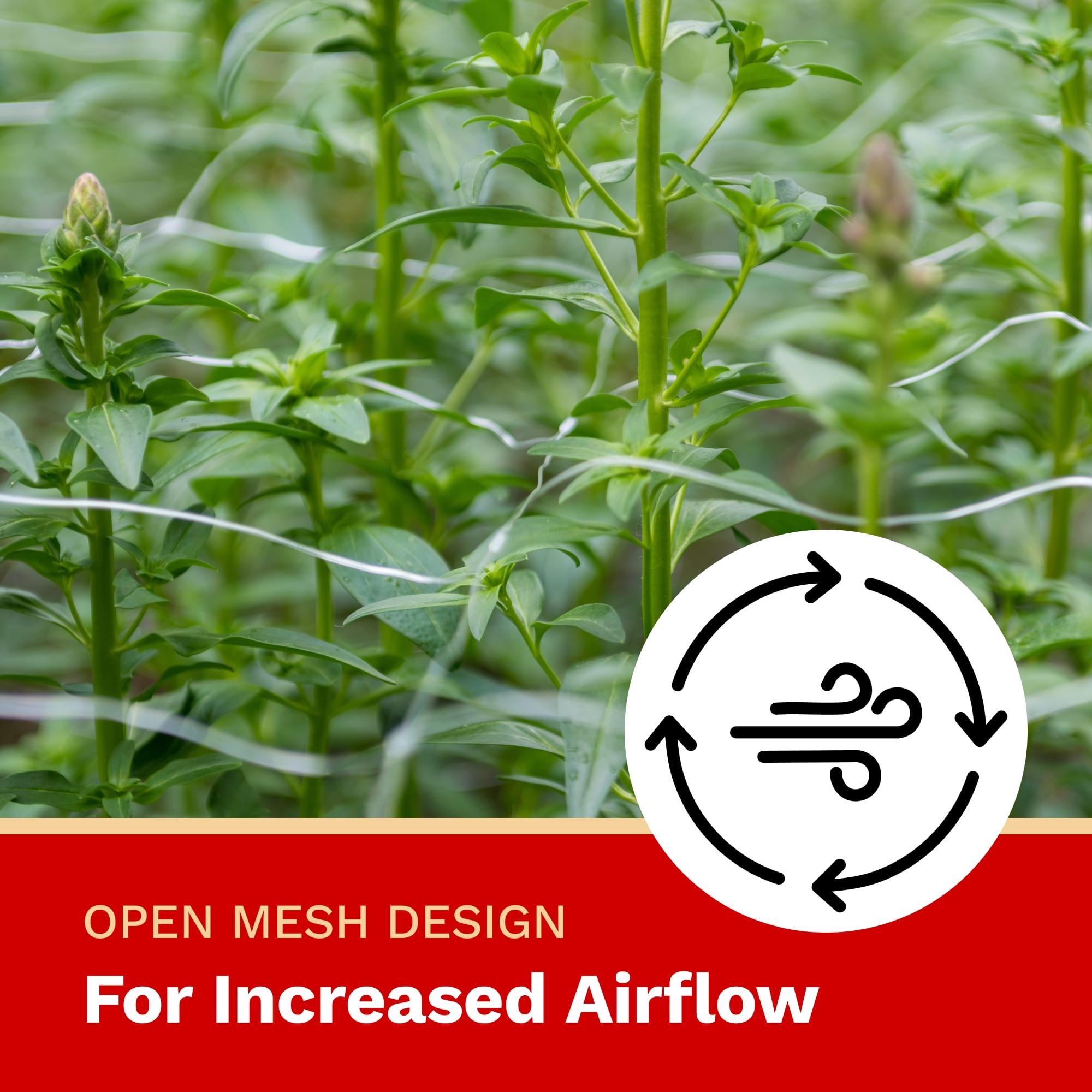 Trellis netting in yard showing open mesh design