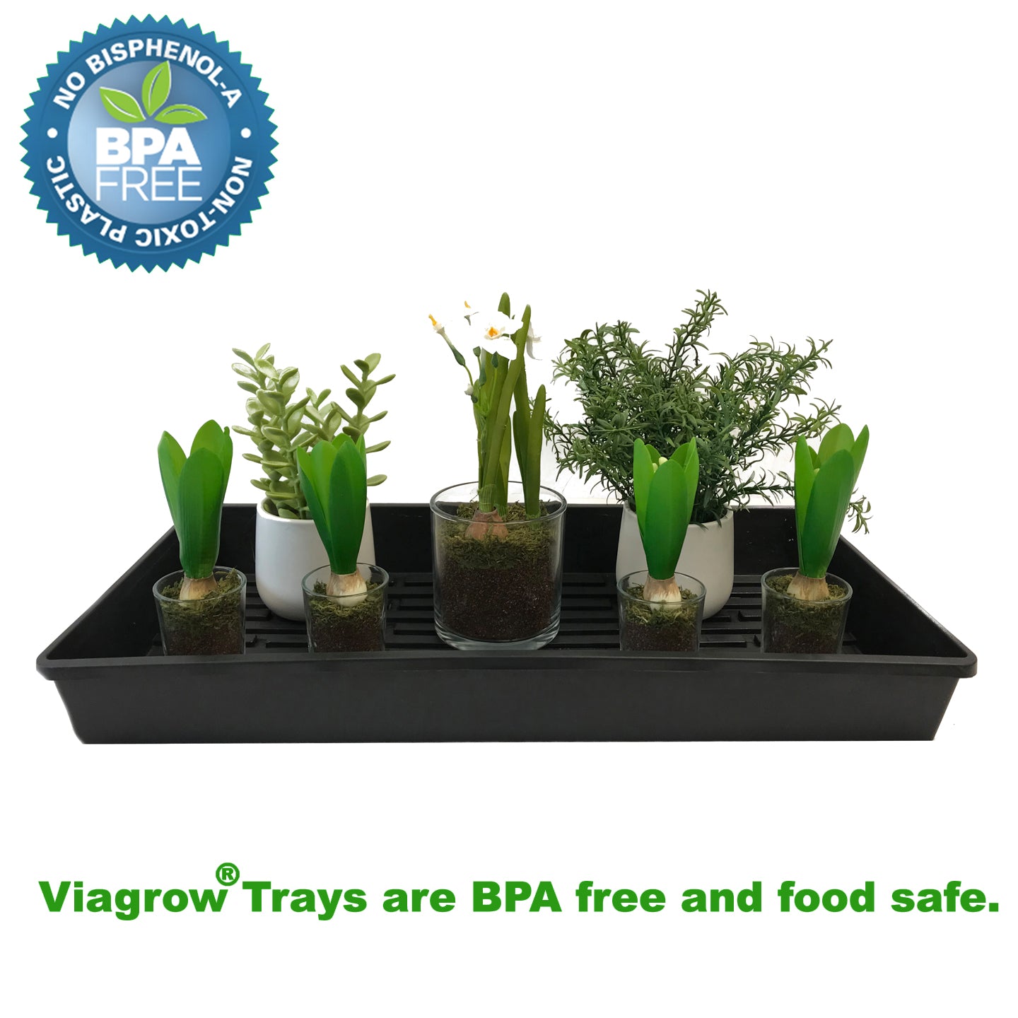 The Harvest Company 10 in. x 20 in. Black Plastic Extra-Strength Quad Seed Starter Plant Support Planter Accessory 100-Case (V726298-100)