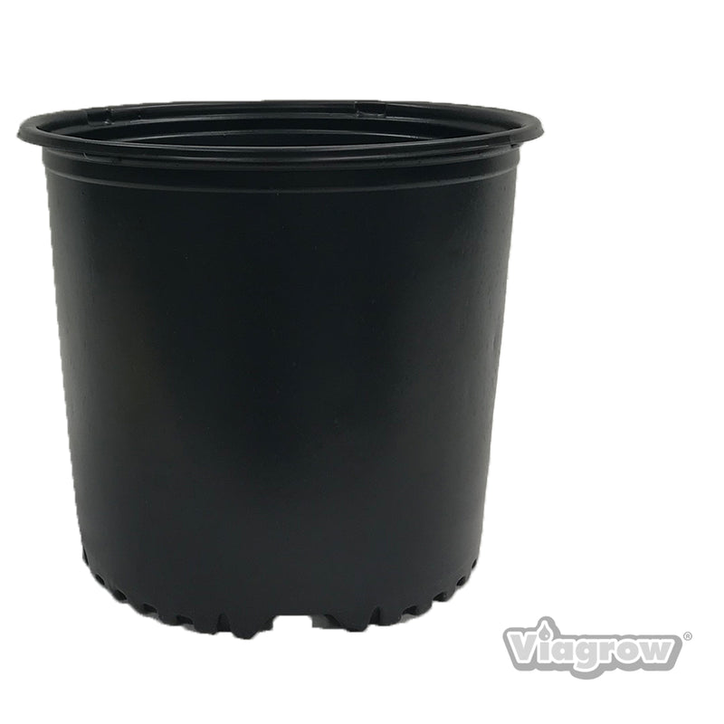 The Harvest Company 3 gal. 11.5 in. L x 9.13 in. W x 9.63 in. H Black Indoor/Outdoor Plastic Nursery Pot (Packs)