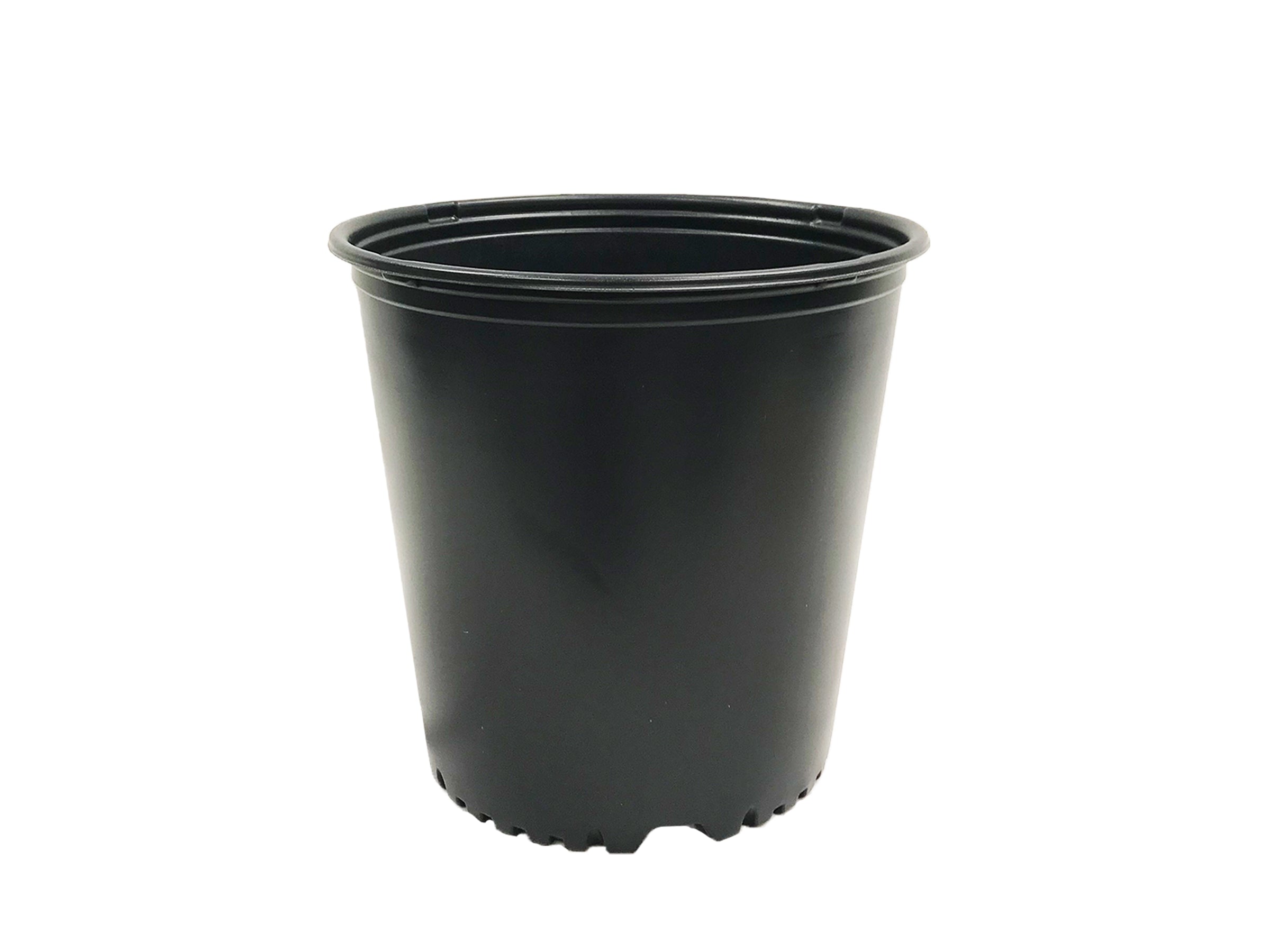 The Harvest Company 5 gal. 12 in. L x 9.5 in. W x 11.63 in. H Black Indoor/Outdoor Plastic Nursery Pot (Packs)