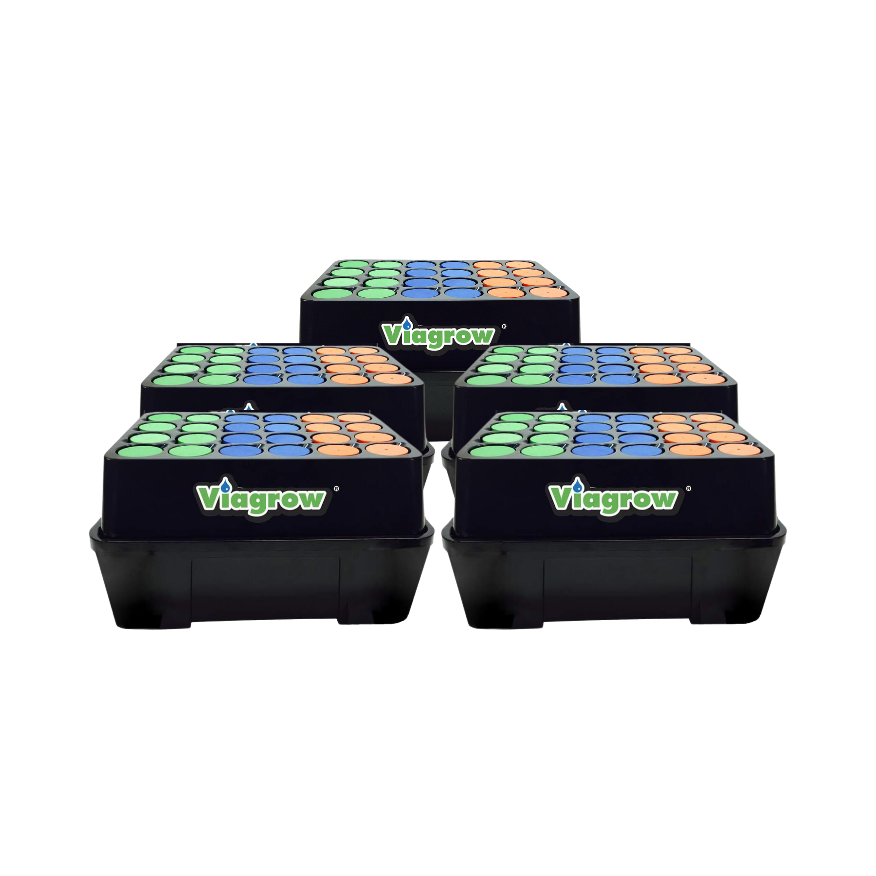 A set of five Viagrow Clone Machine 24-site aeroponic hydroponic systems, with sites covered by multicolored neoprene collars, displayed against a white background.