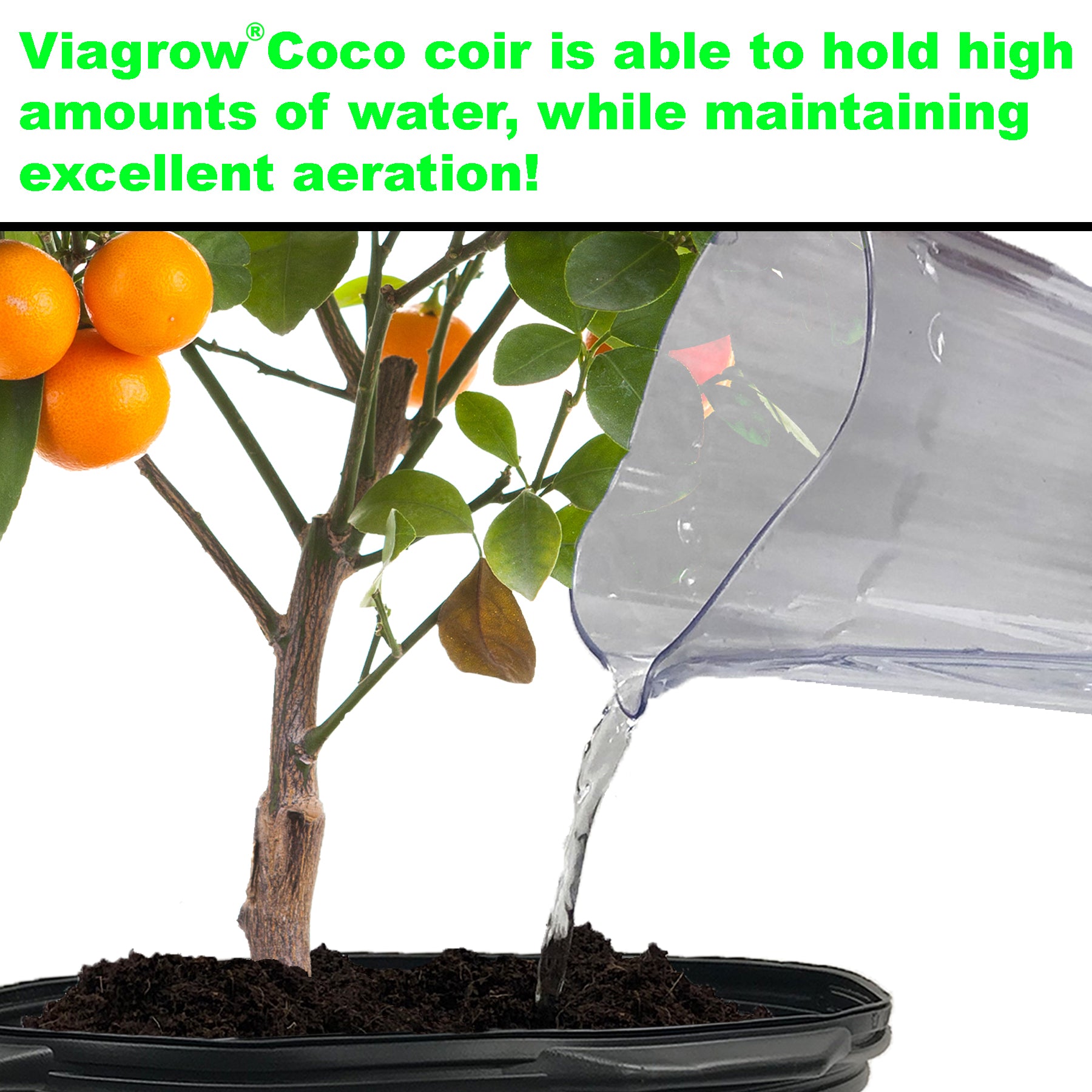 Viagrow Plastic Nursery Pot plus 5 kg (11 lb.) Coconut Coir Brick Grow Media