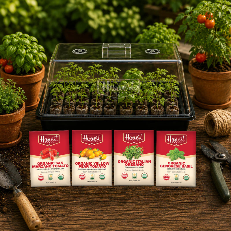 The Harvest Company Pizza Garden Seed Starting Kit | Organic Herb & Tomato Seeds with Humidity Dome, Heavy-Duty Tray & Char Coir Coco Coin Insert