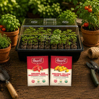 Tomato Garden Seed Starting Kit