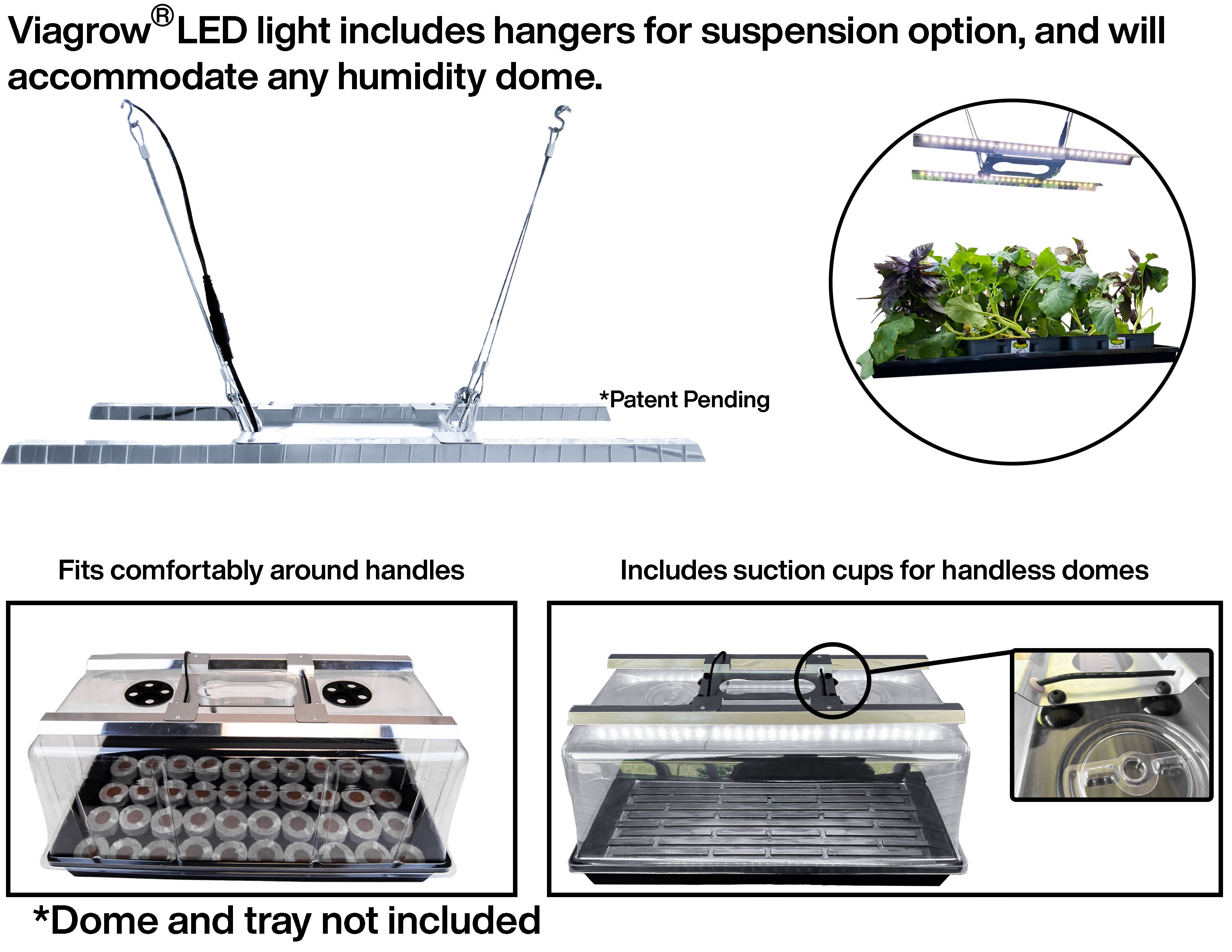 The Harvest Company 1020 Seedling Station LED, Full-Spectrum Grow Light for Germinating Seeds (Case of 12)