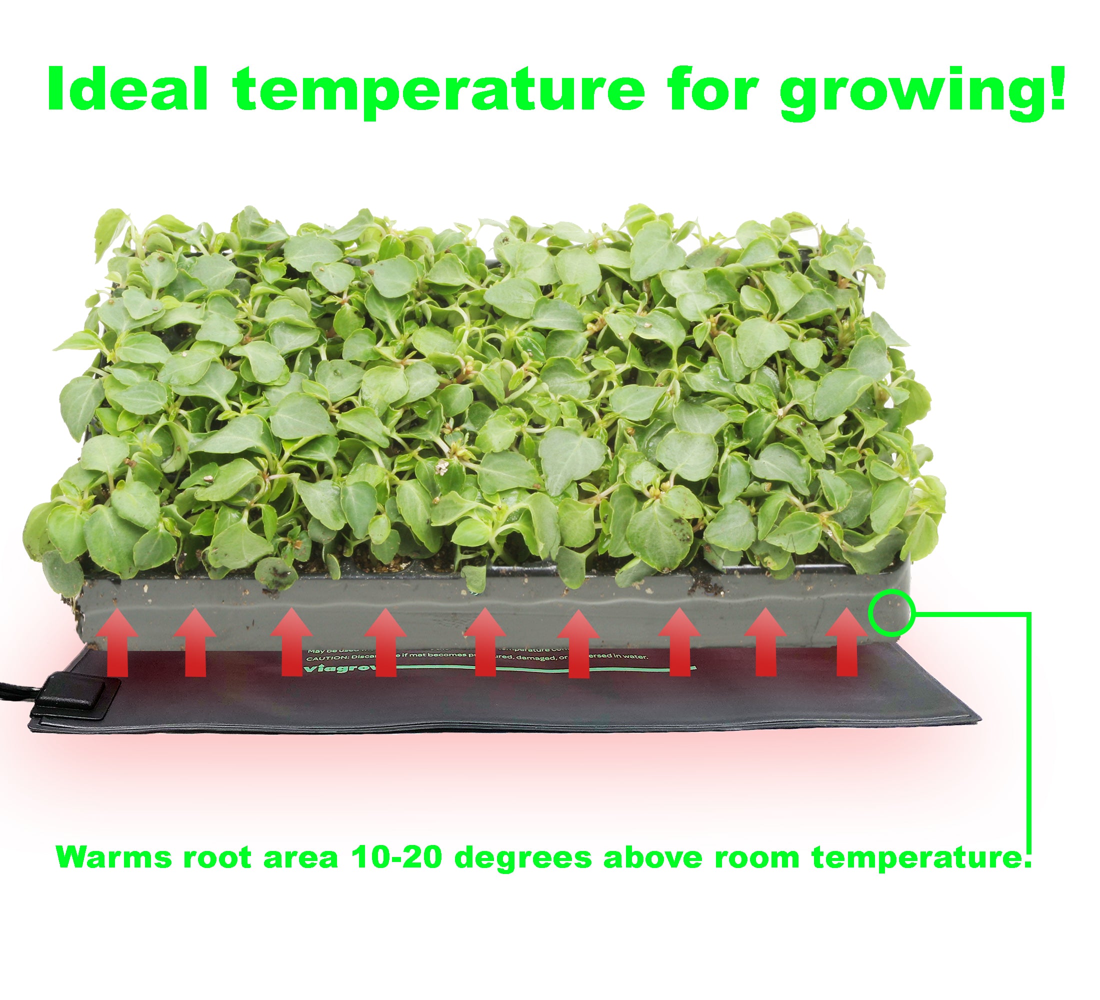 The Harvest Company Single Tray, MET Standard Heat Mat and Thermostat, 20”8”