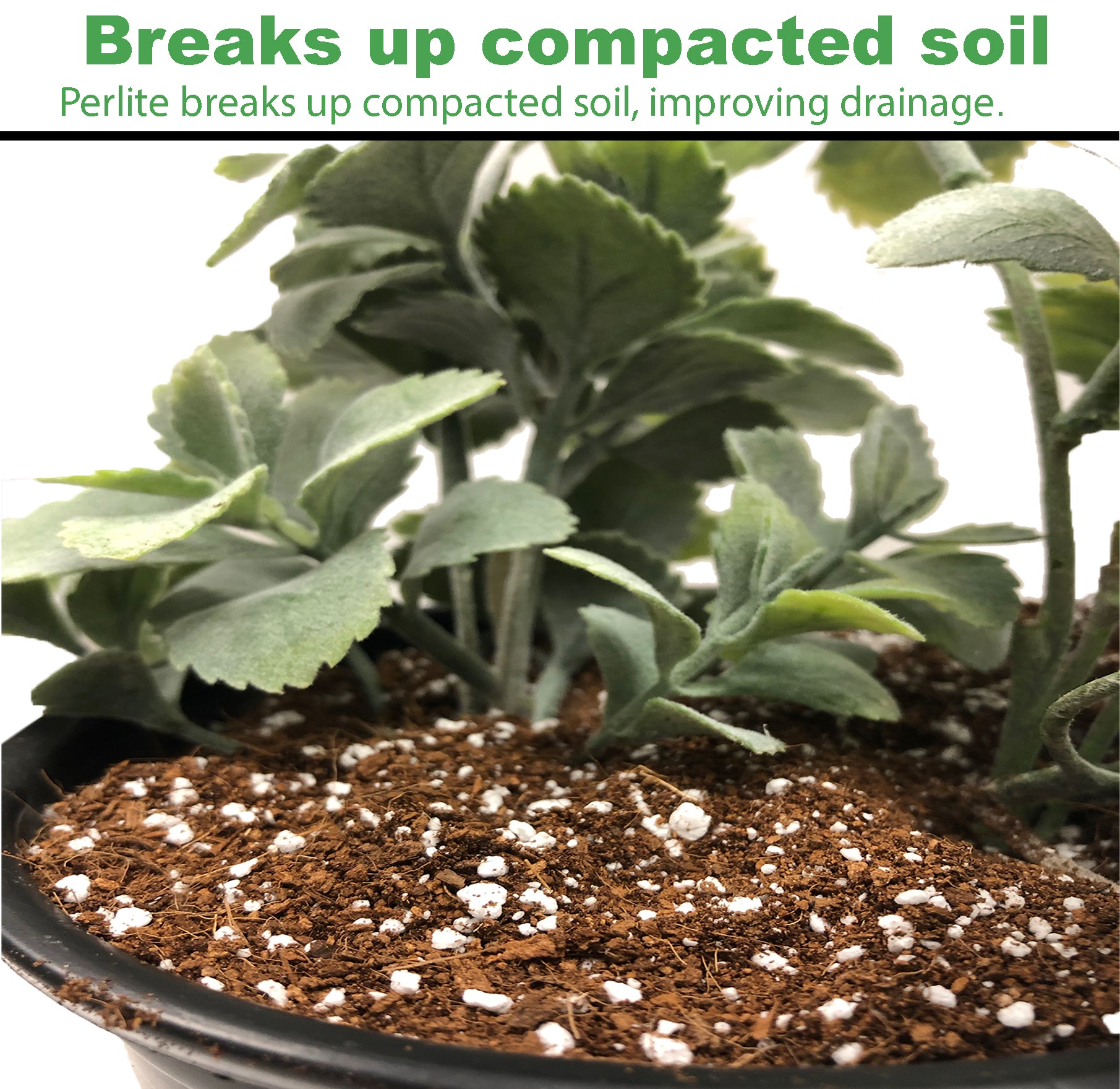 Viagrow 1 cu. ft. Horticultural Perlite White Natural Soil Amendment