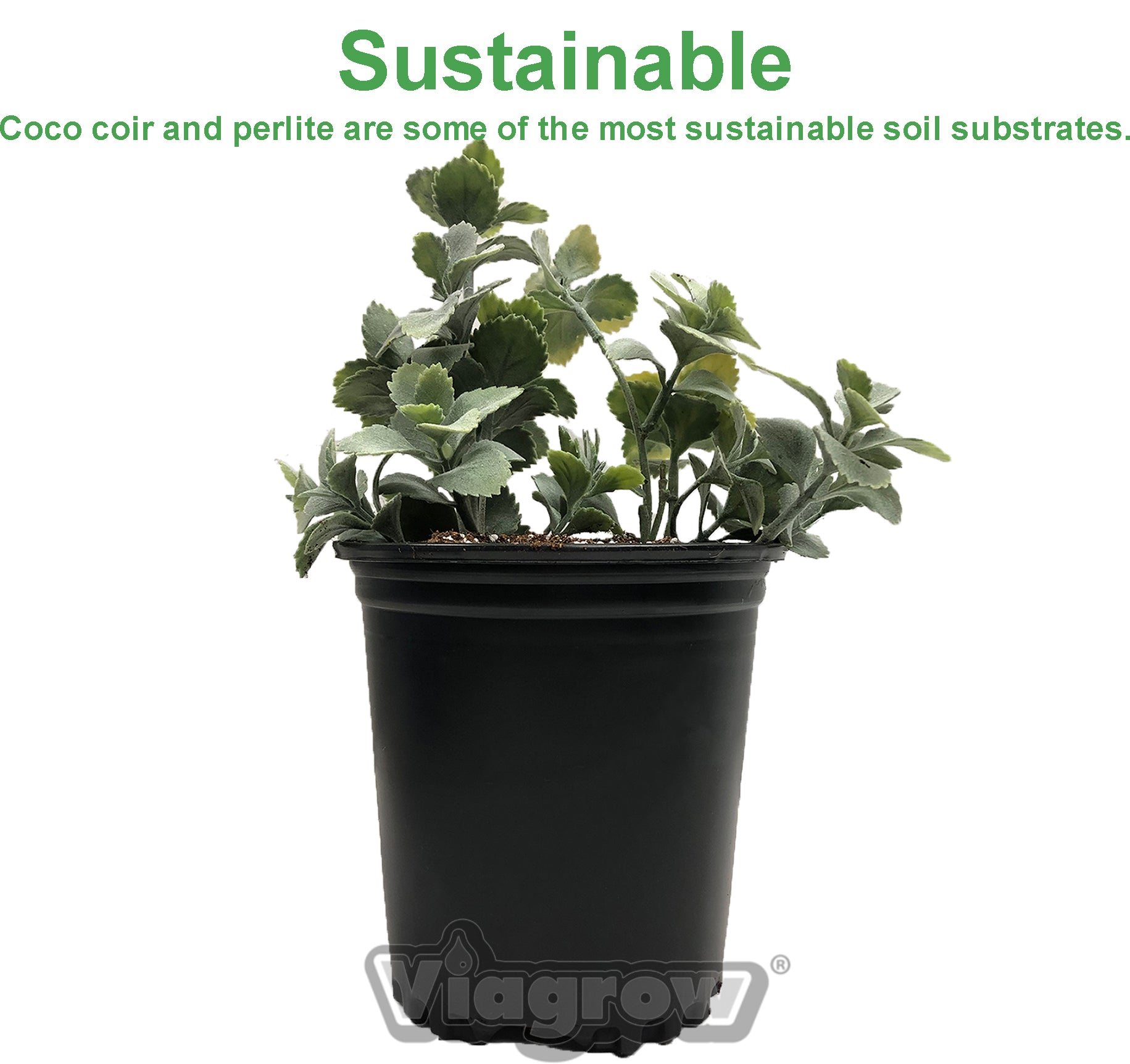 Viagrow 1 cu. ft. Horticultural Perlite White Natural Soil Amendment