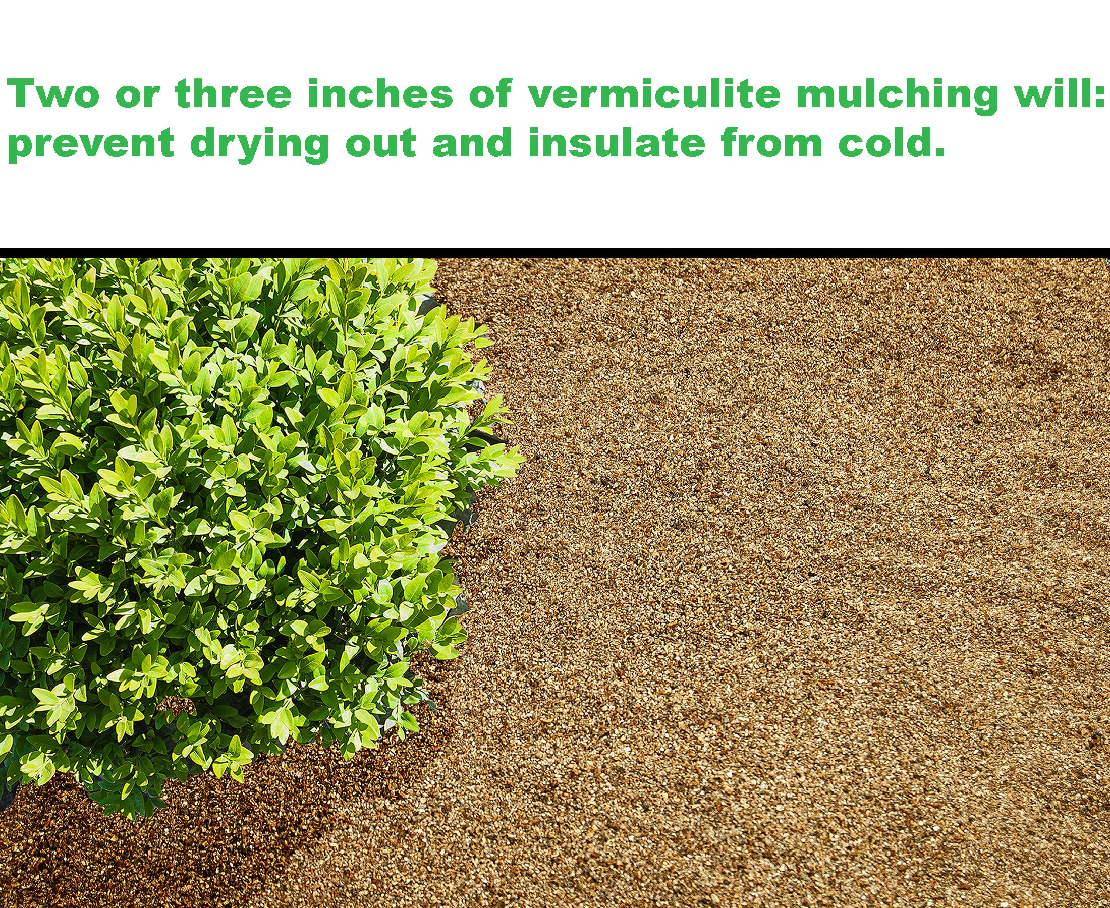 Viagrow 4 cu. ft. (113L) Horticultural Vermiculite Natural Soil Amendment