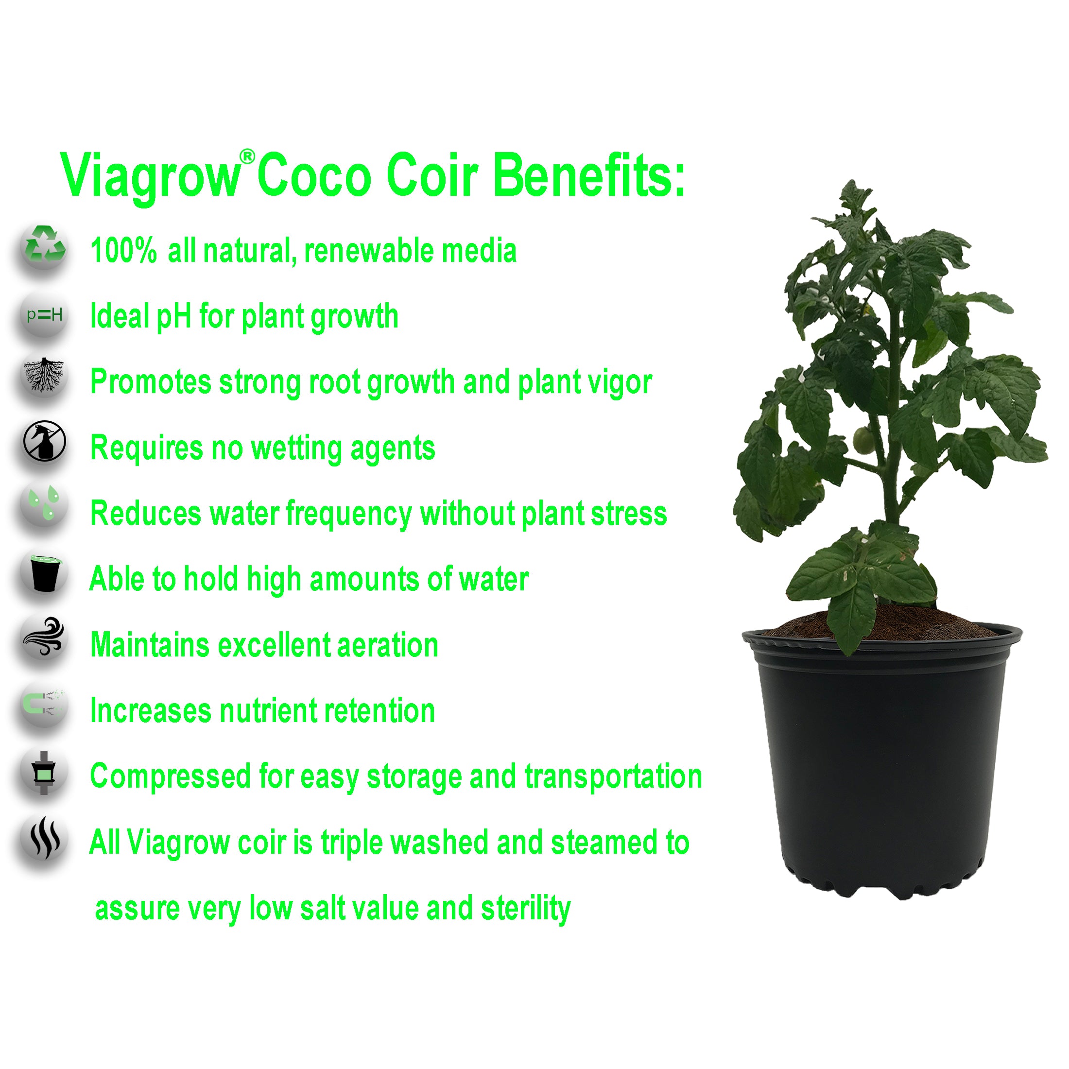 Viagrow 650 g (1.4 lb.) Compressed Coconut Coir Premium Grow Media