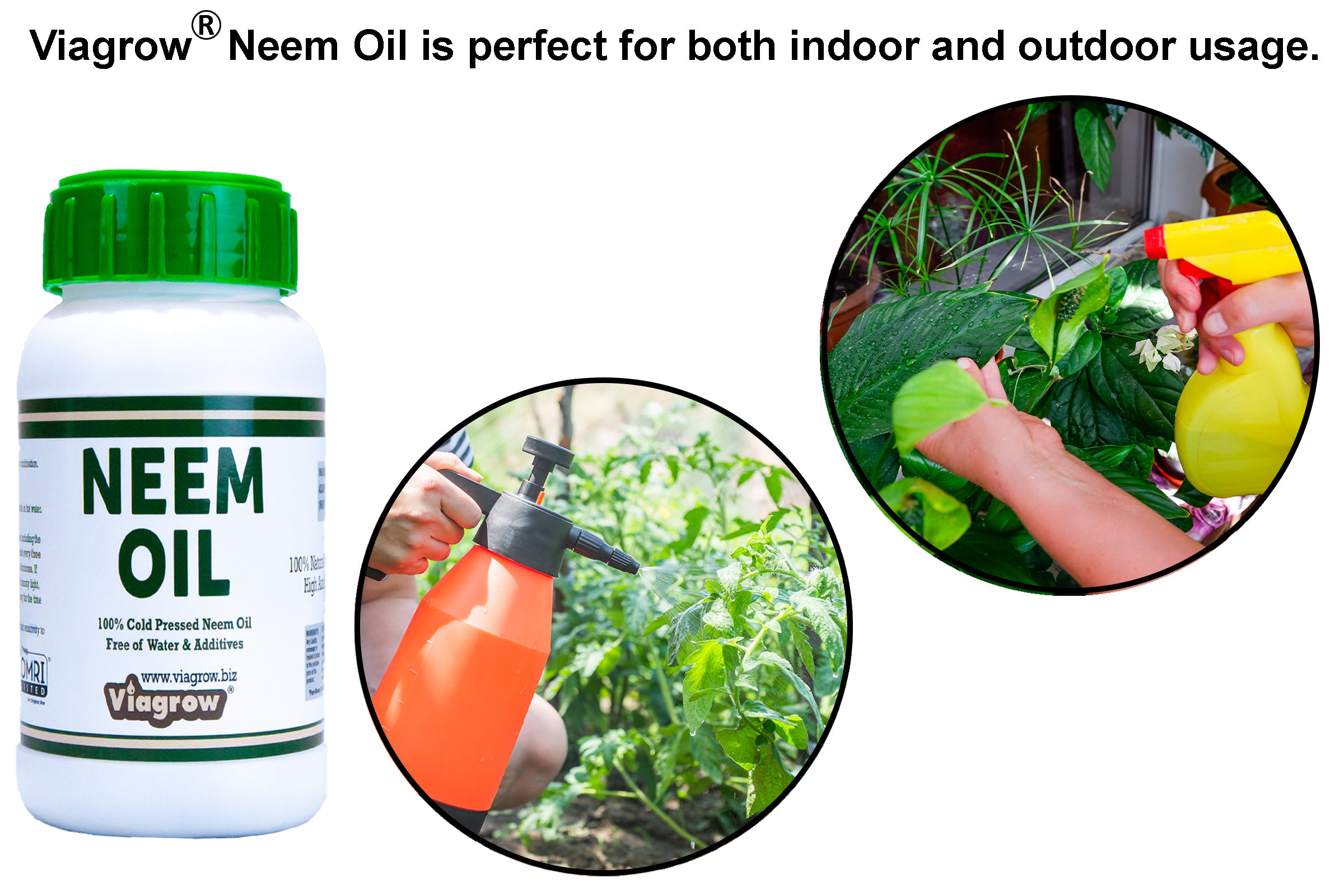 Viagrow 8 oz. Organic Cold Pressed Neem Oil Seed Extract
