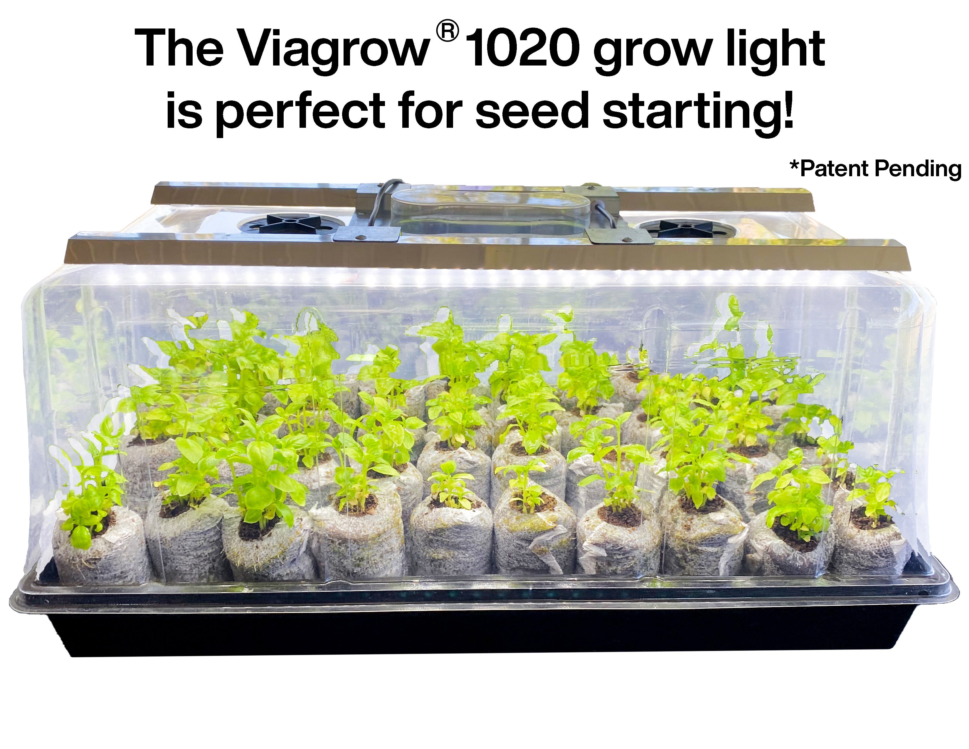 Viagrow Seedling Station Deluxe Kit