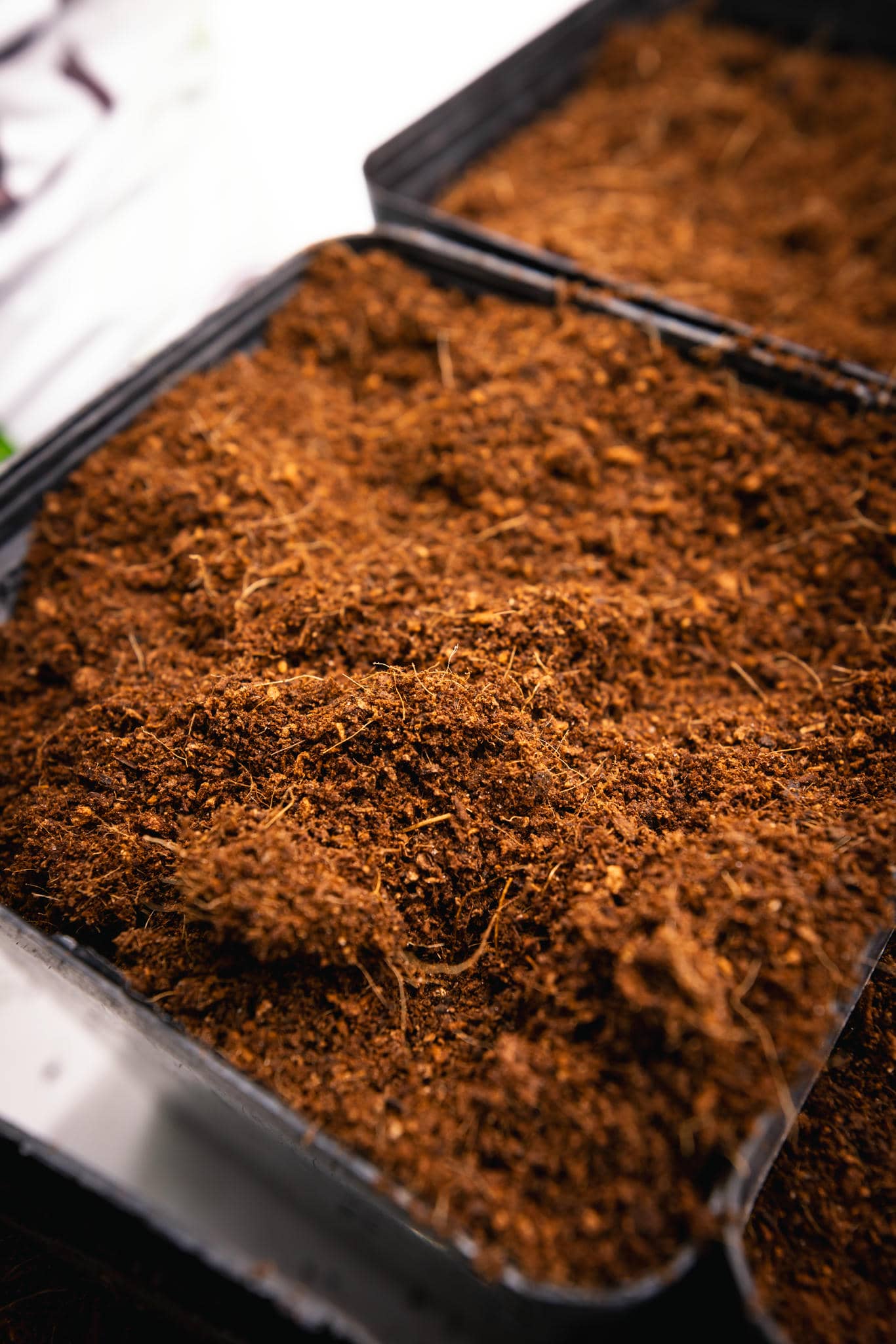 Coconut Coir for Composting 