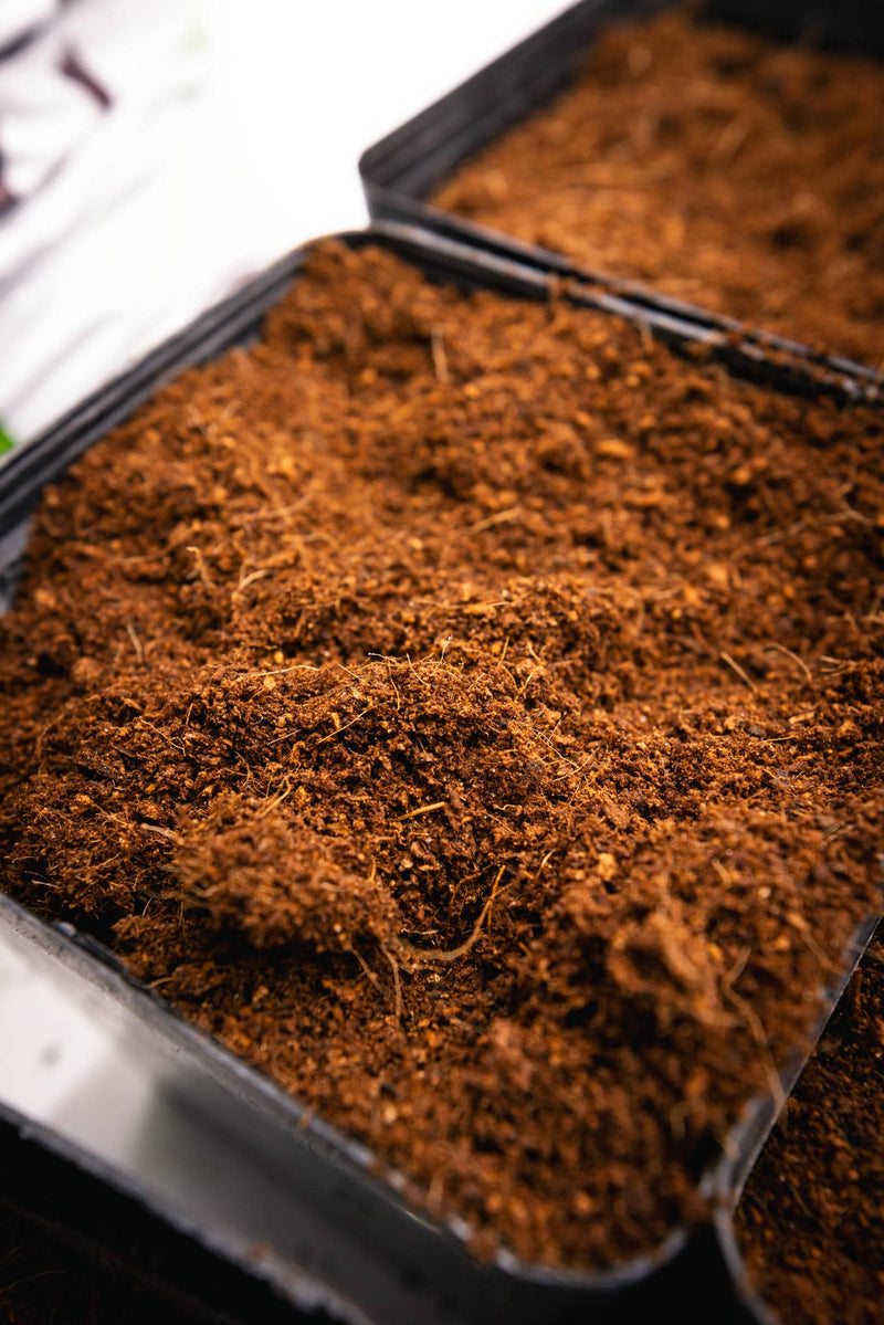 Coconut Coir for Composting 