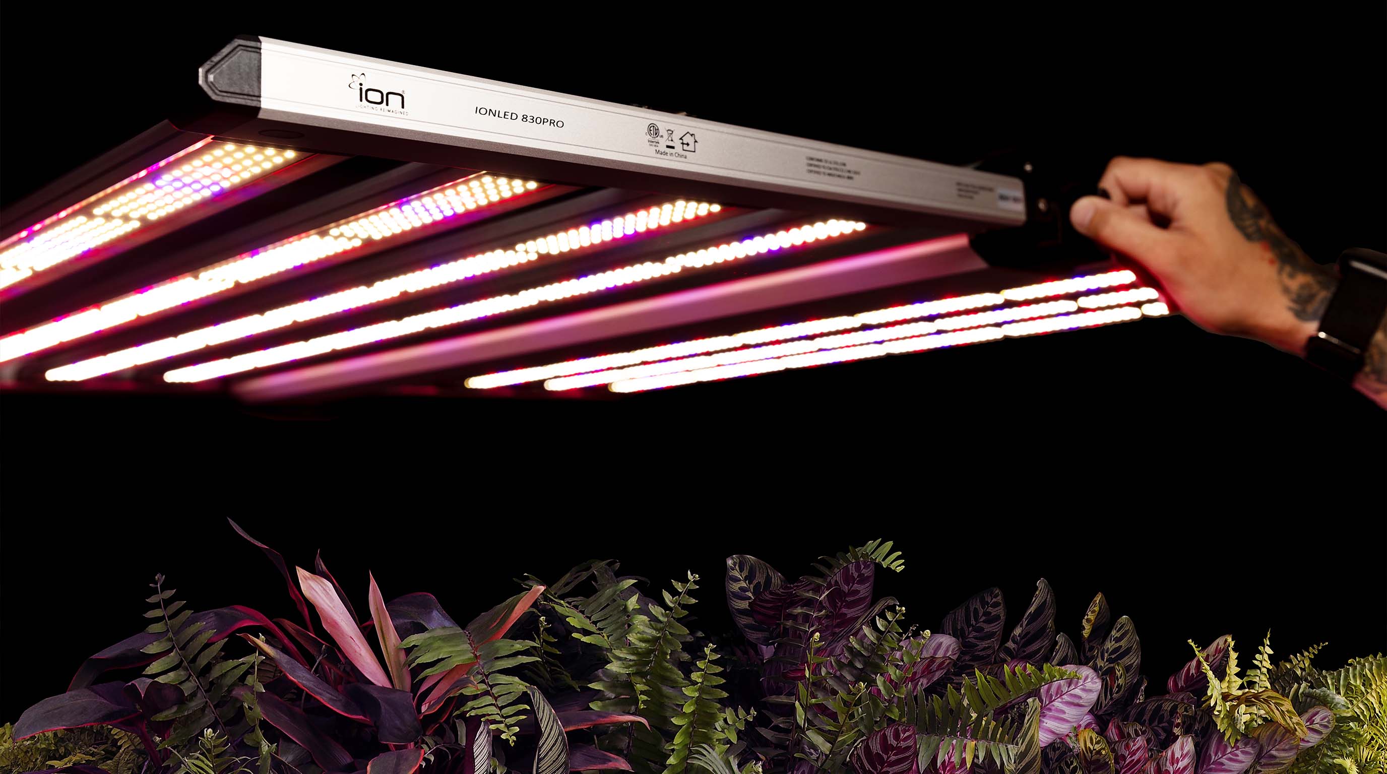 Grow Lights