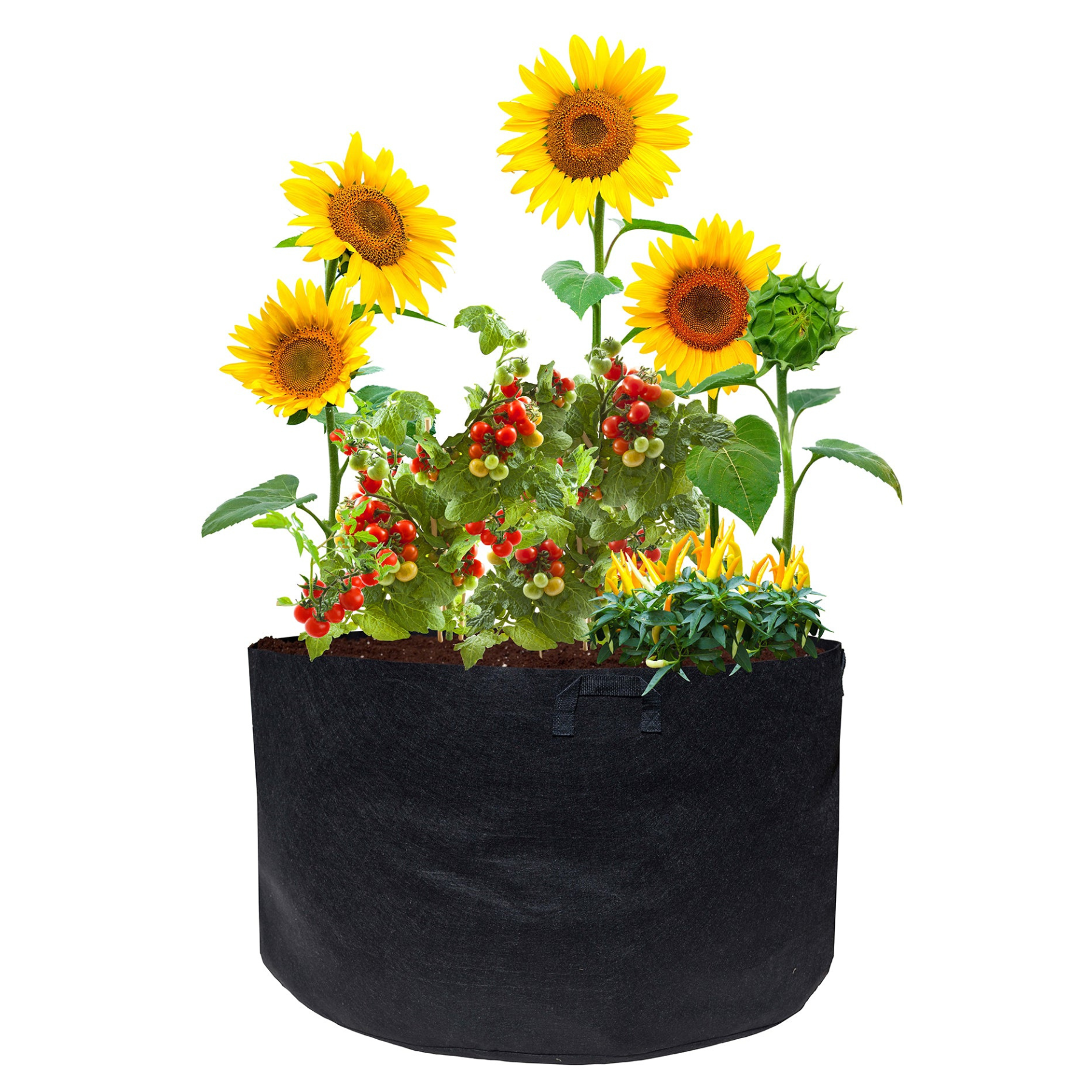 50% OFF at Check Out: The Harvest Company Fabric Aeration Grow Bags Black Polypropylene Round Indoor/Outdoor Planter with Handles (Packs)