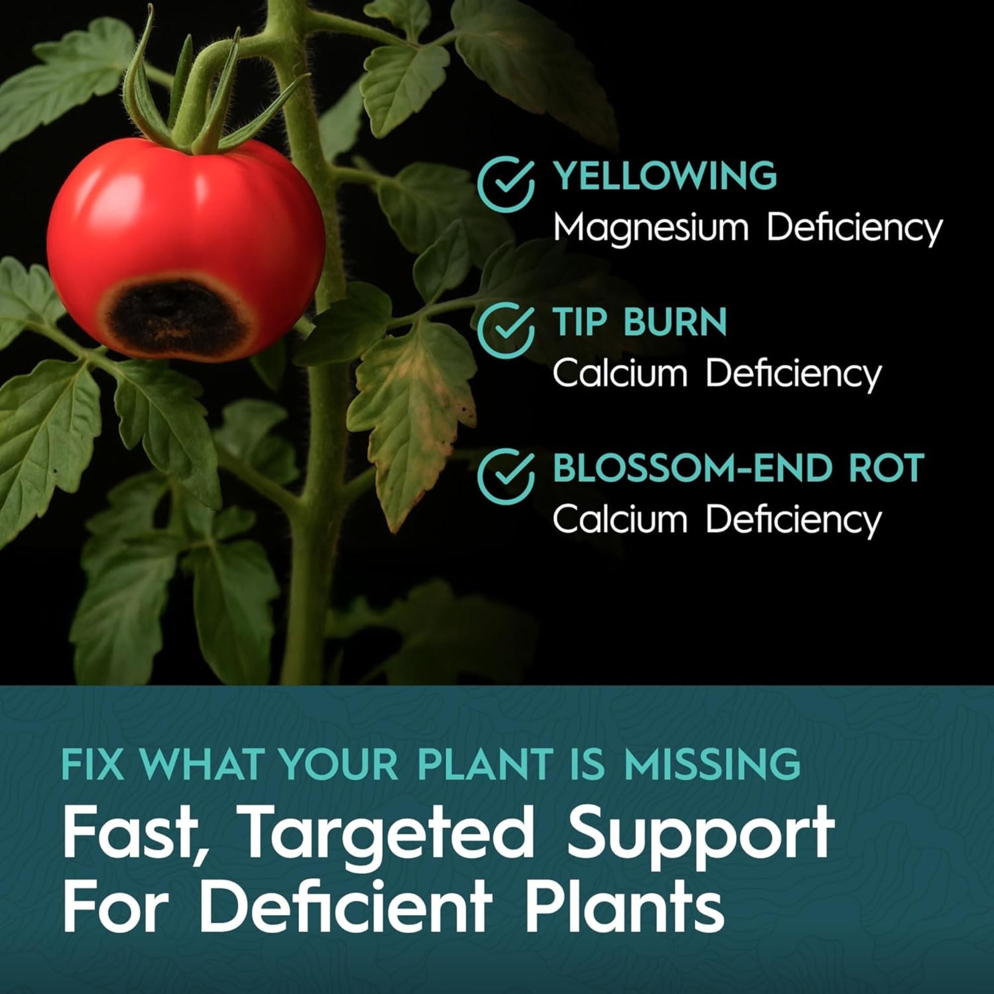 Drip Hydro CaMg Calcium & Magnesium Supplement Liquid Plant Fertilizer Fruiting & Flowering Plants 2-0-0