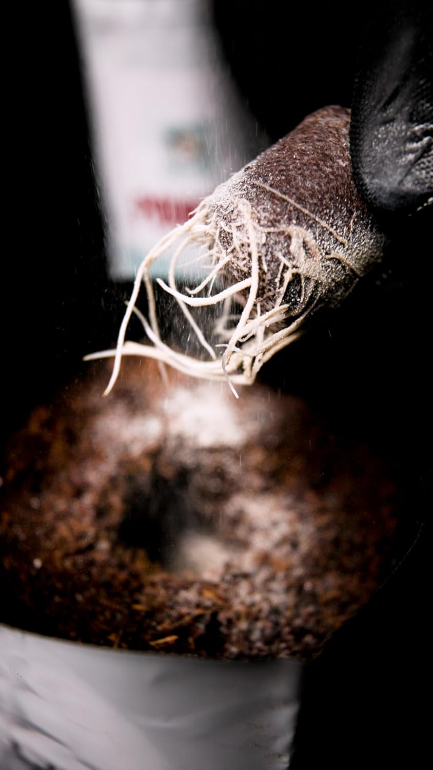 Power Si Power Start Dry Plant Supplement with Mycorrhizae and Nitrogen-Fixing Bacteria