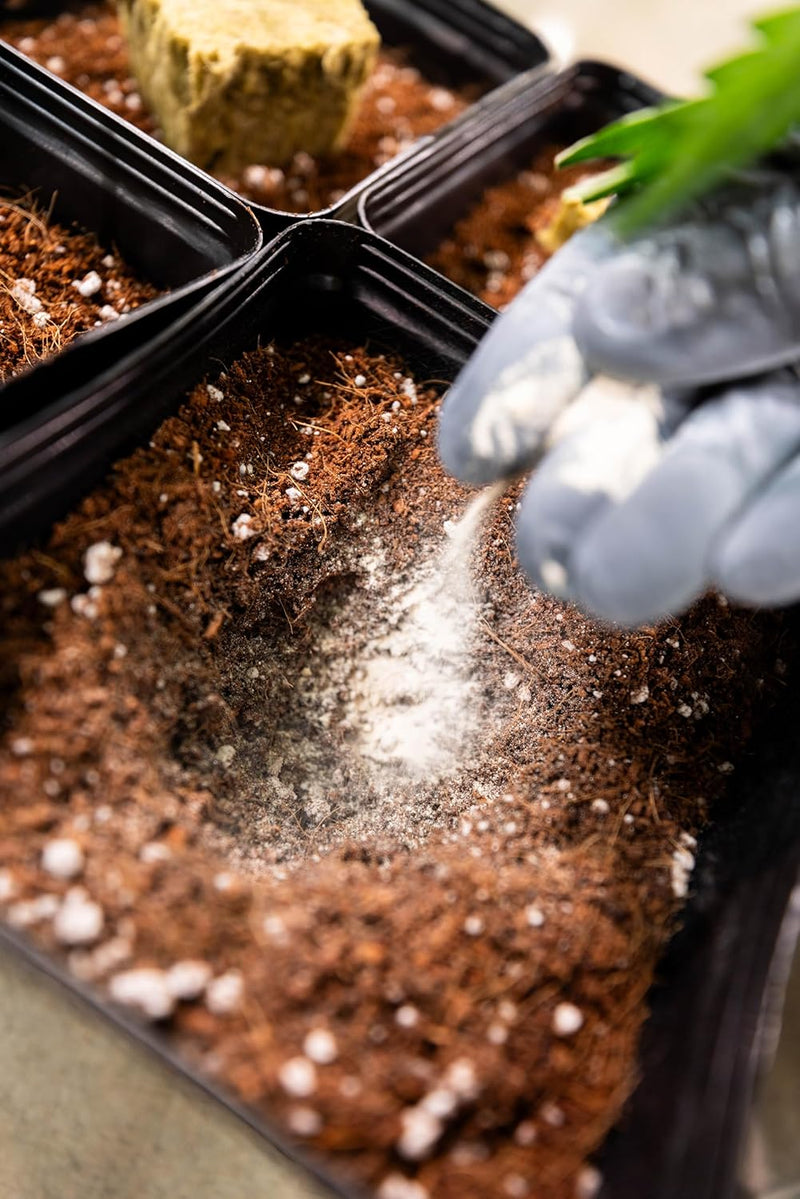 Power Si Power Start Dry Plant Supplement with Mycorrhizae and Nitrogen-Fixing Bacteria