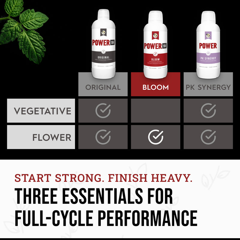 Power Si Bloom Liquid Plant Fertilizer Flowering Plants