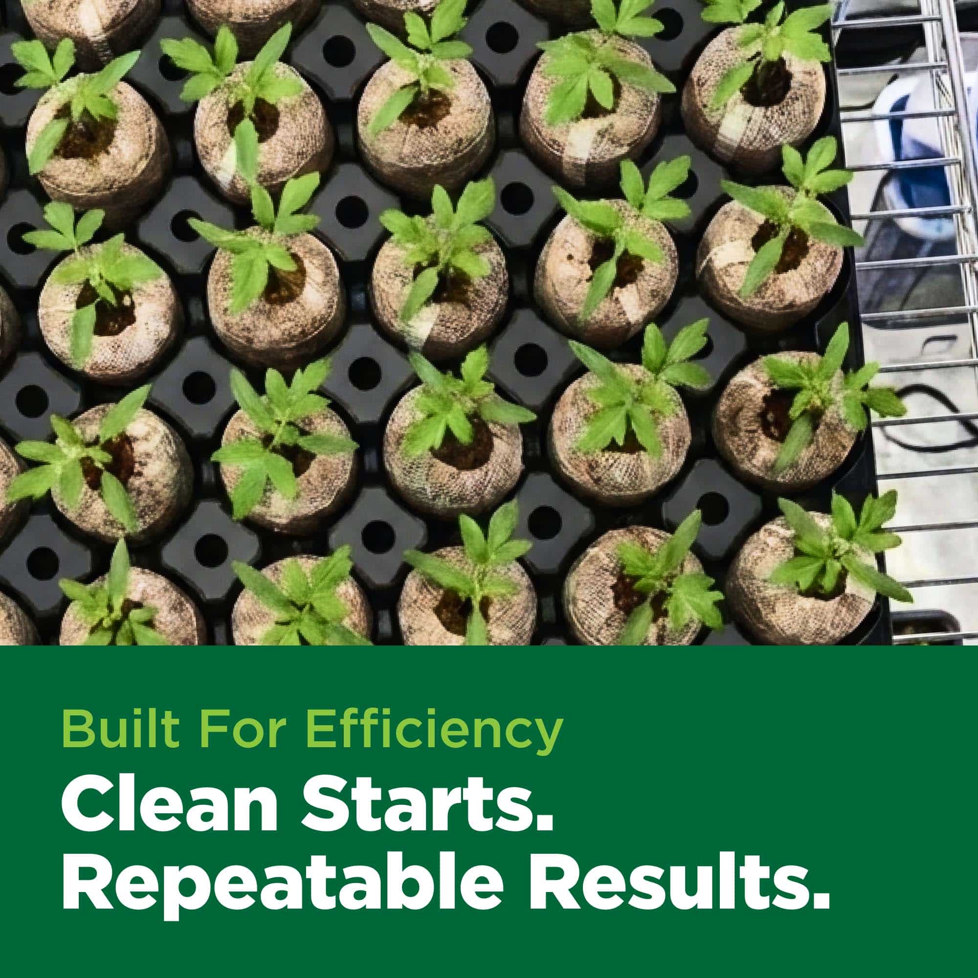 Seedling trays with young plants on a black grid, featuring text about efficiency and results.