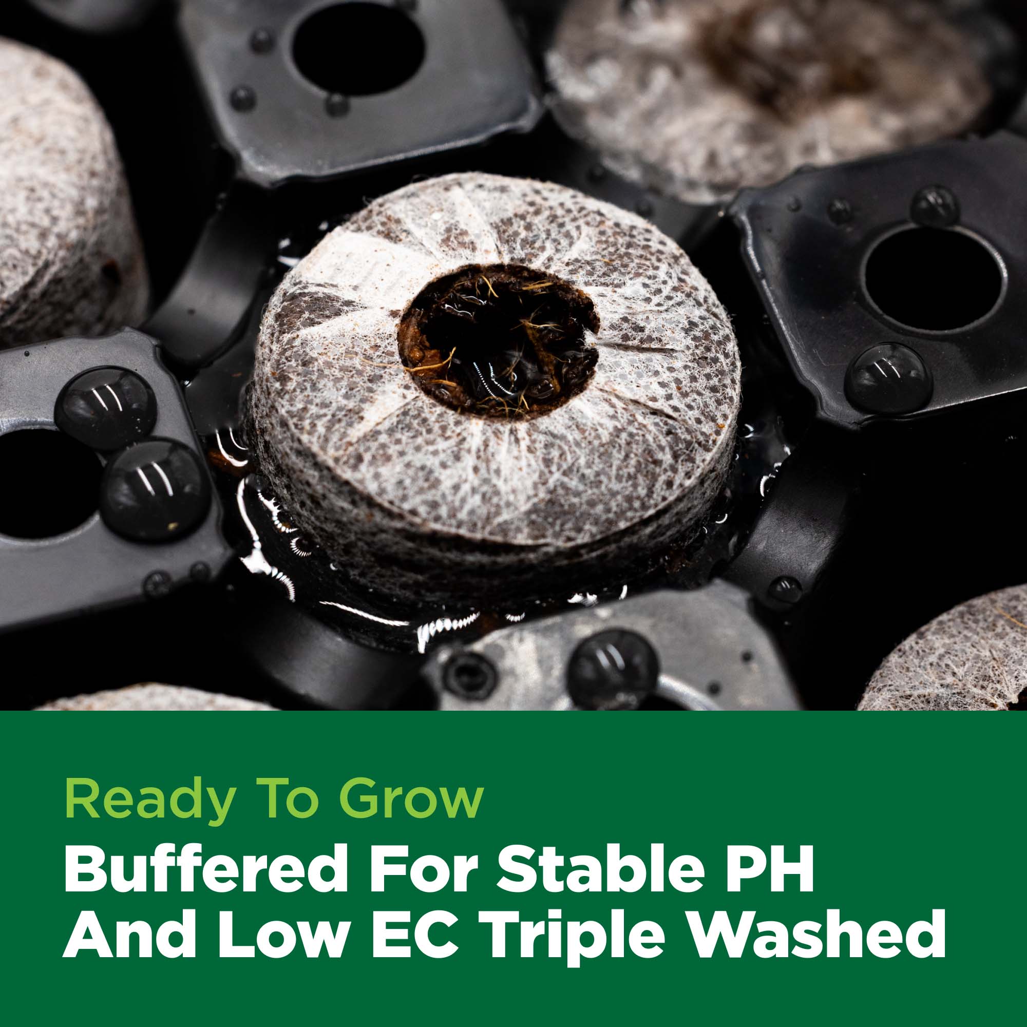 Close-up of a seedling with text about pH and EC levels on a green background