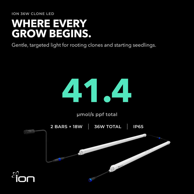 ION 36W LED Clone Light for Seed Starting & Cuttings, 2-Bar Design