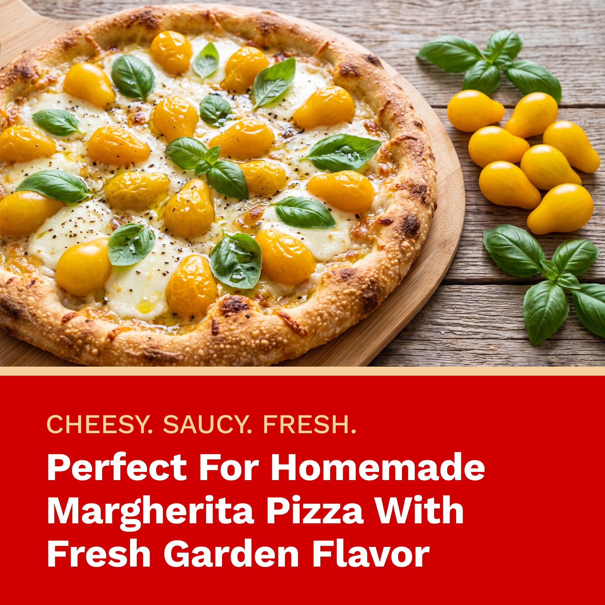 The Harvest Company Pizza Garden Seed Starting Kit | Organic Herb & Tomato Seeds with Humidity Dome, Heavy-Duty Tray & Char Coir Coco Coin Insert