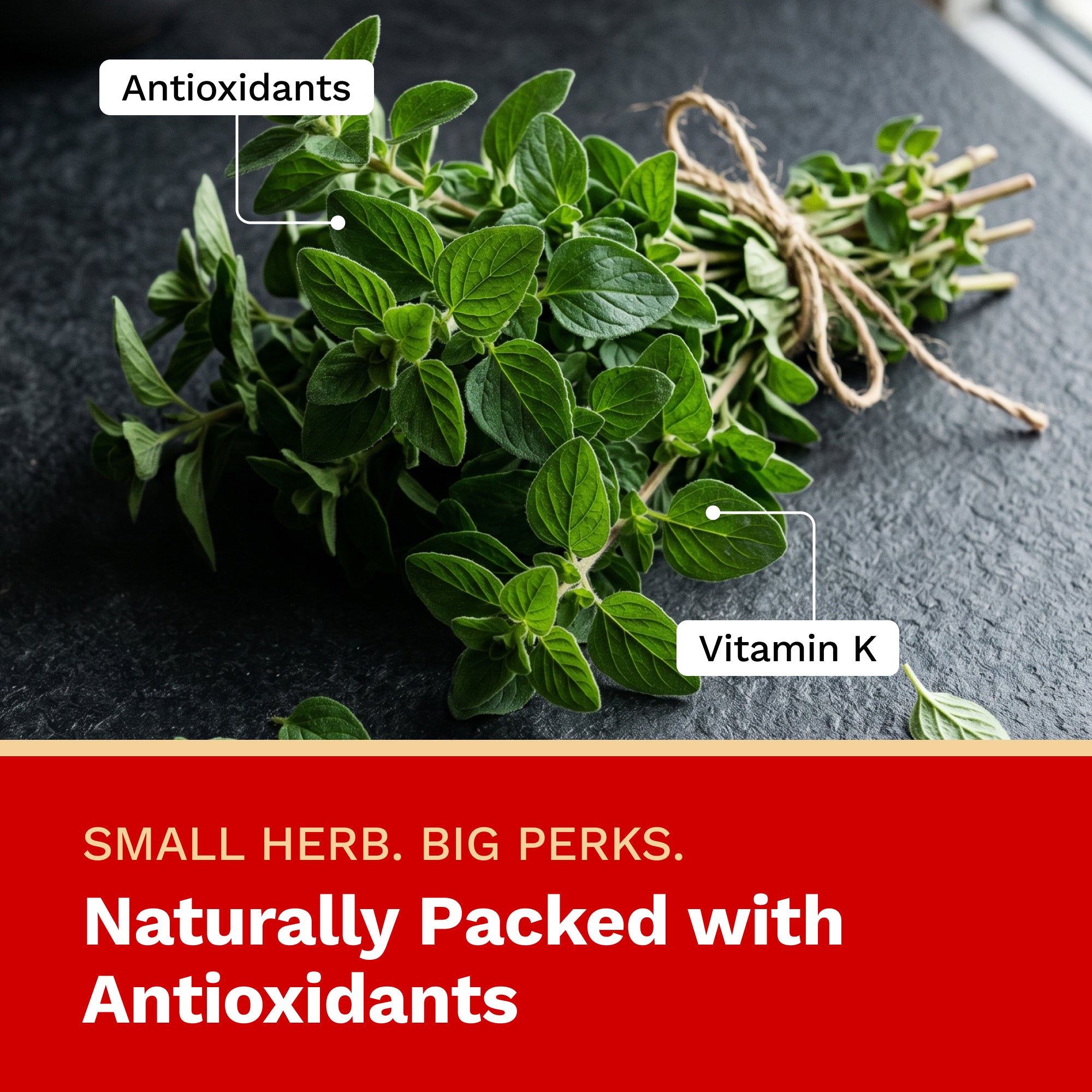 Bunch of fresh green herbs on a dark surface with text highlighting antioxidants and Vitamin K.