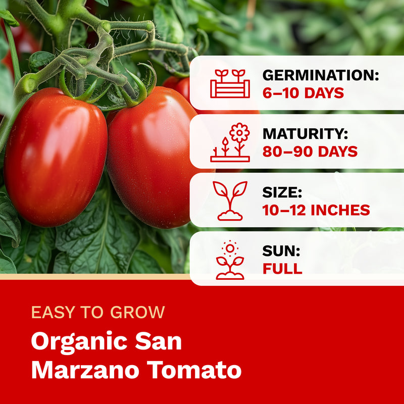 Organic San Marzano tomato with growth information on a red background