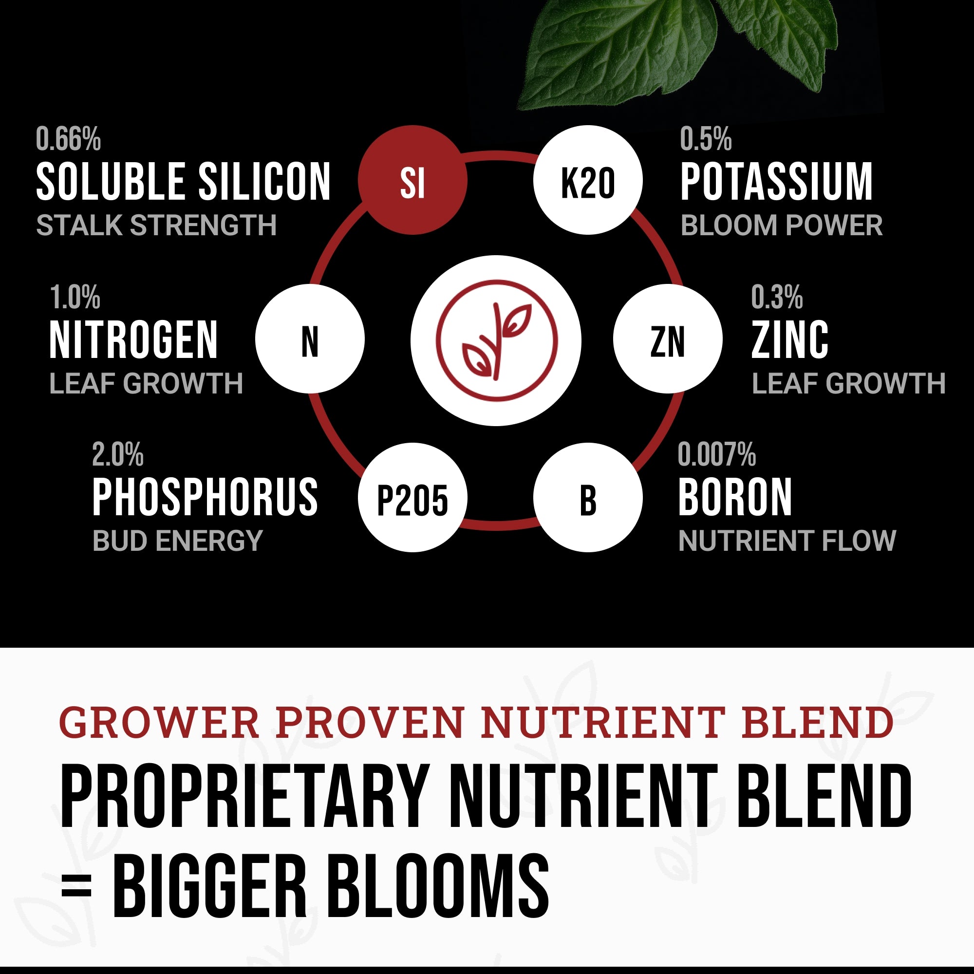 Power Si Bloom Liquid Plant Fertilizer Flowering Plants