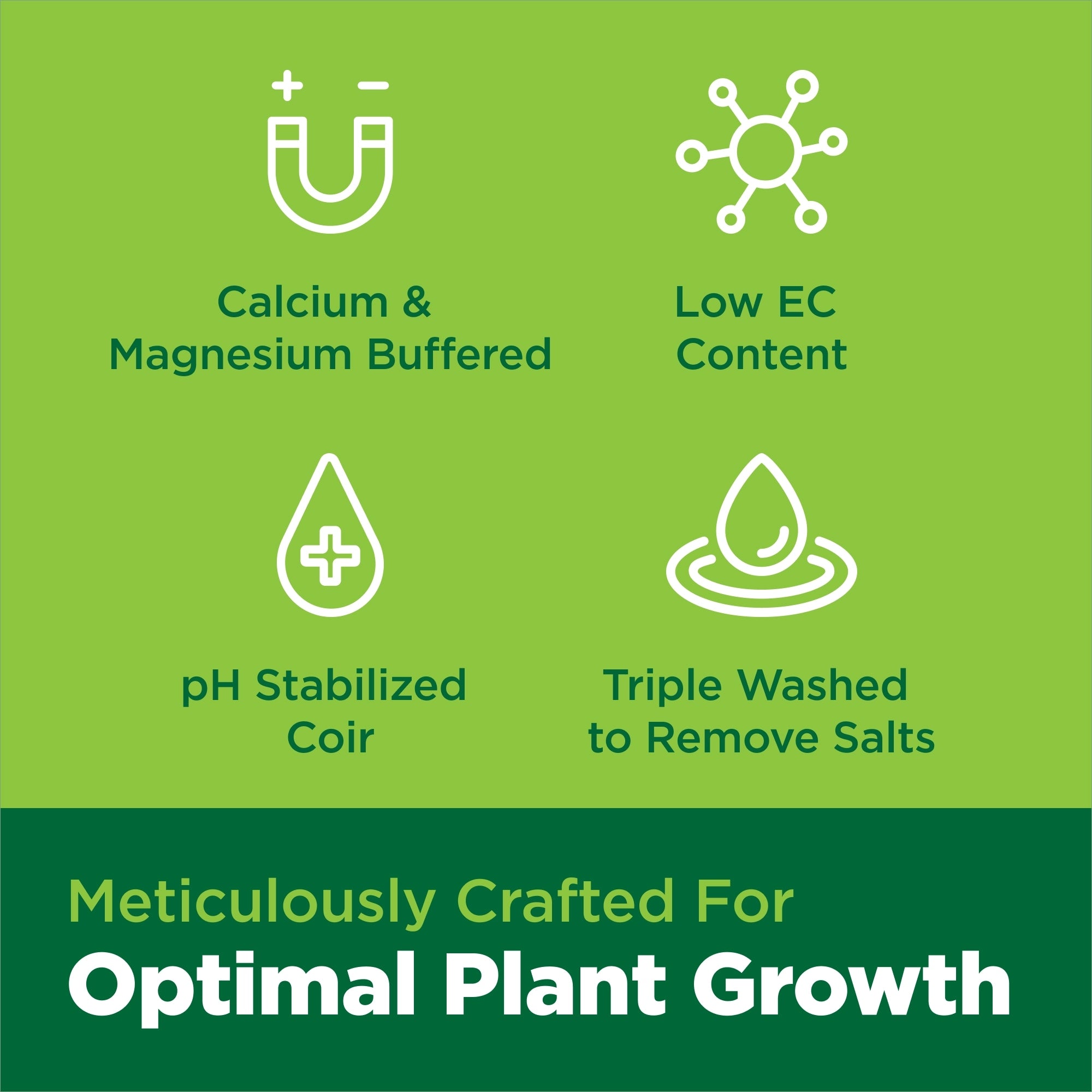 Green background with white icons and text about plant growth requirements.