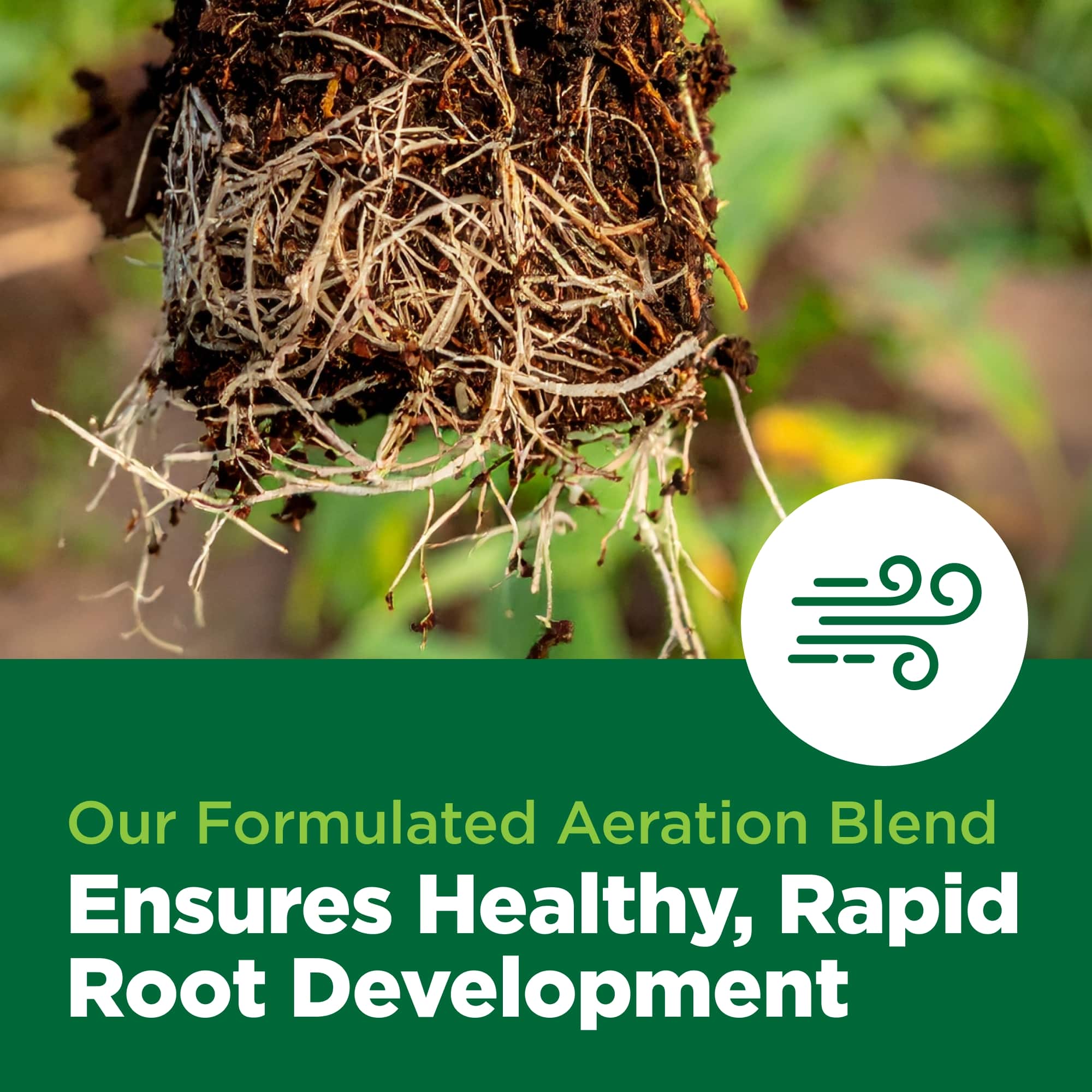 Root system of a plant with text about aeration blend and root development