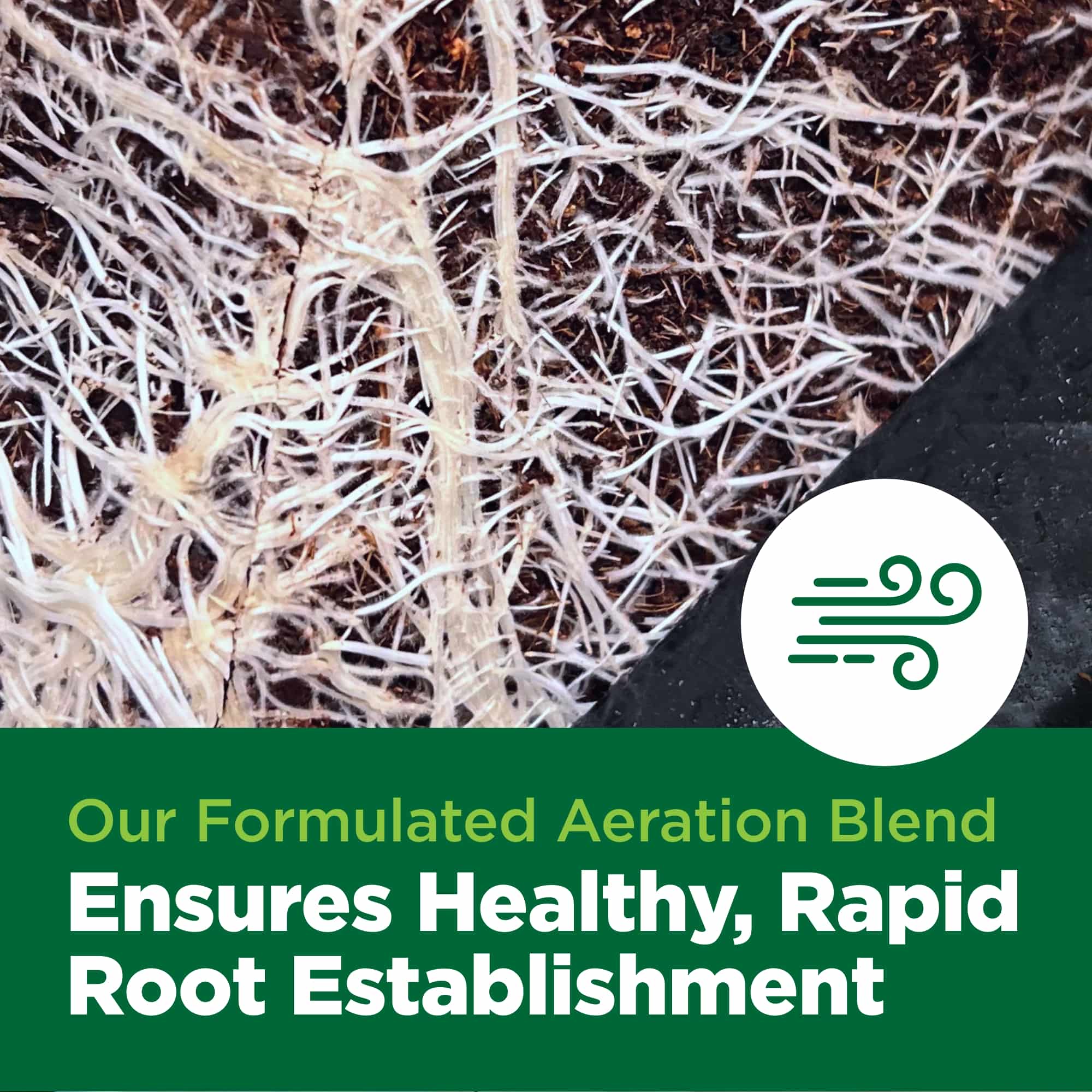 Close-up of plant roots with text about aeration blend for healthy root establishment.